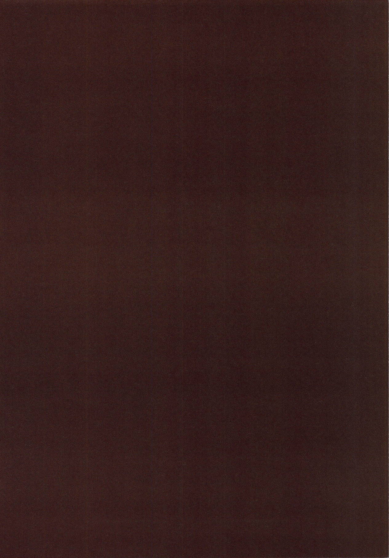 Mousou Momiji Nitori to Issho Hen page 2 full