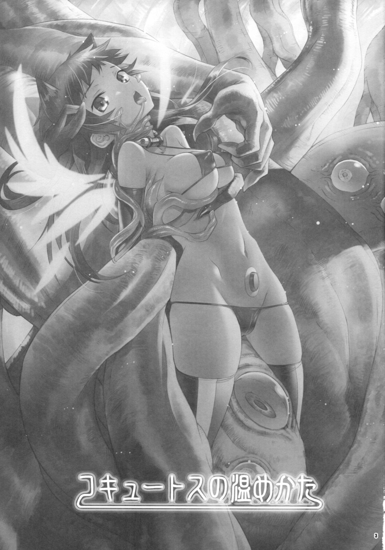 Cocytus no Atatamekata 3K  =White Symphony= page 2 full