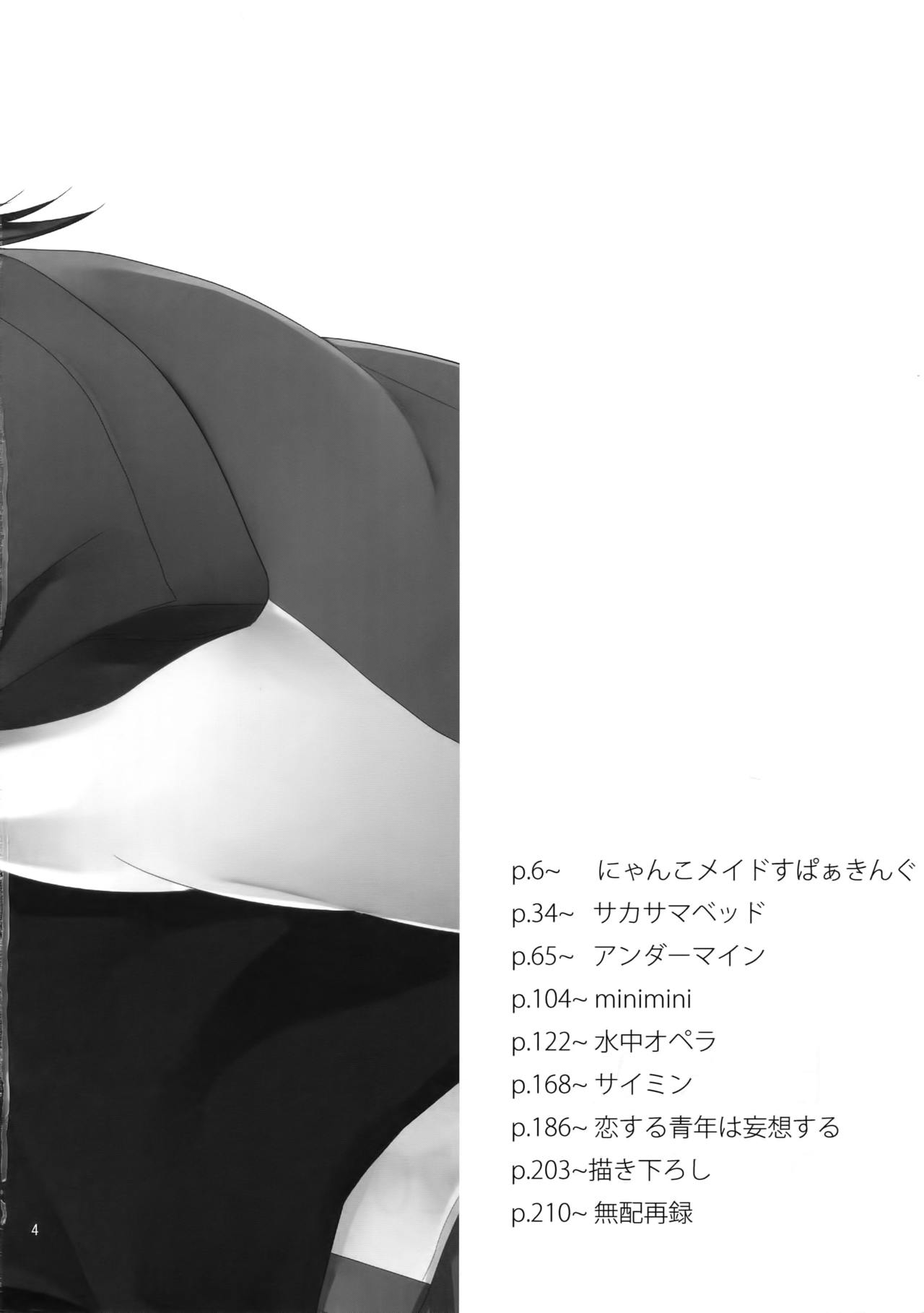 BOROZS Usagi Tora Sairoku 2 page 3 full