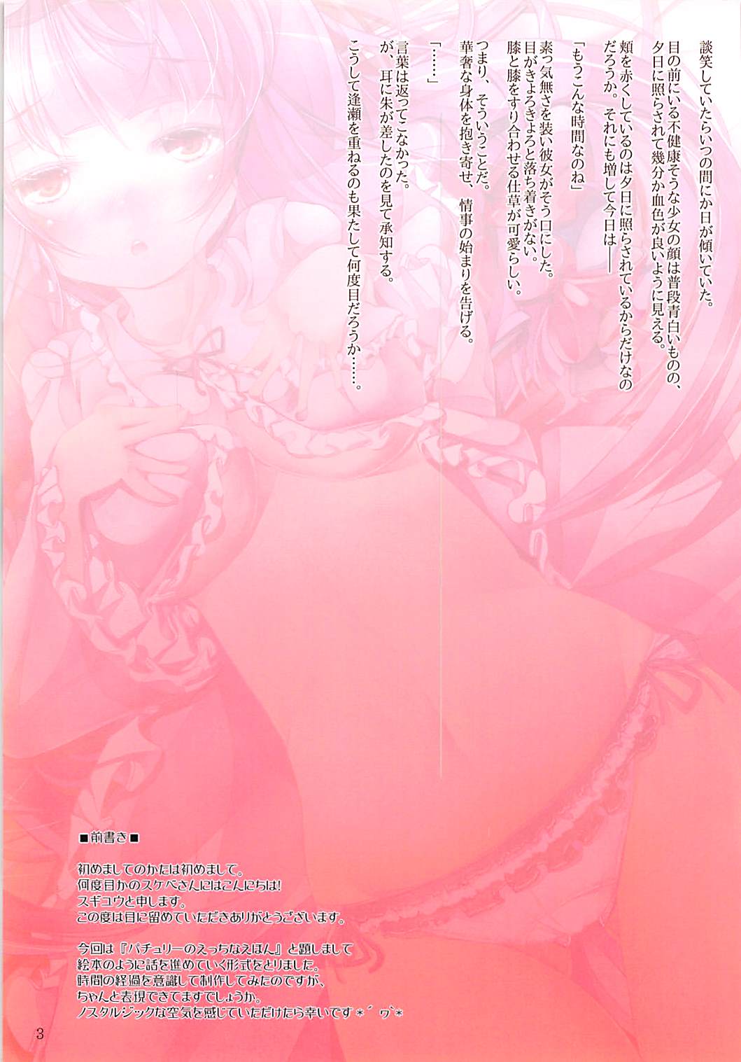 Patchouli no Ecchi na Ehon page 2 full