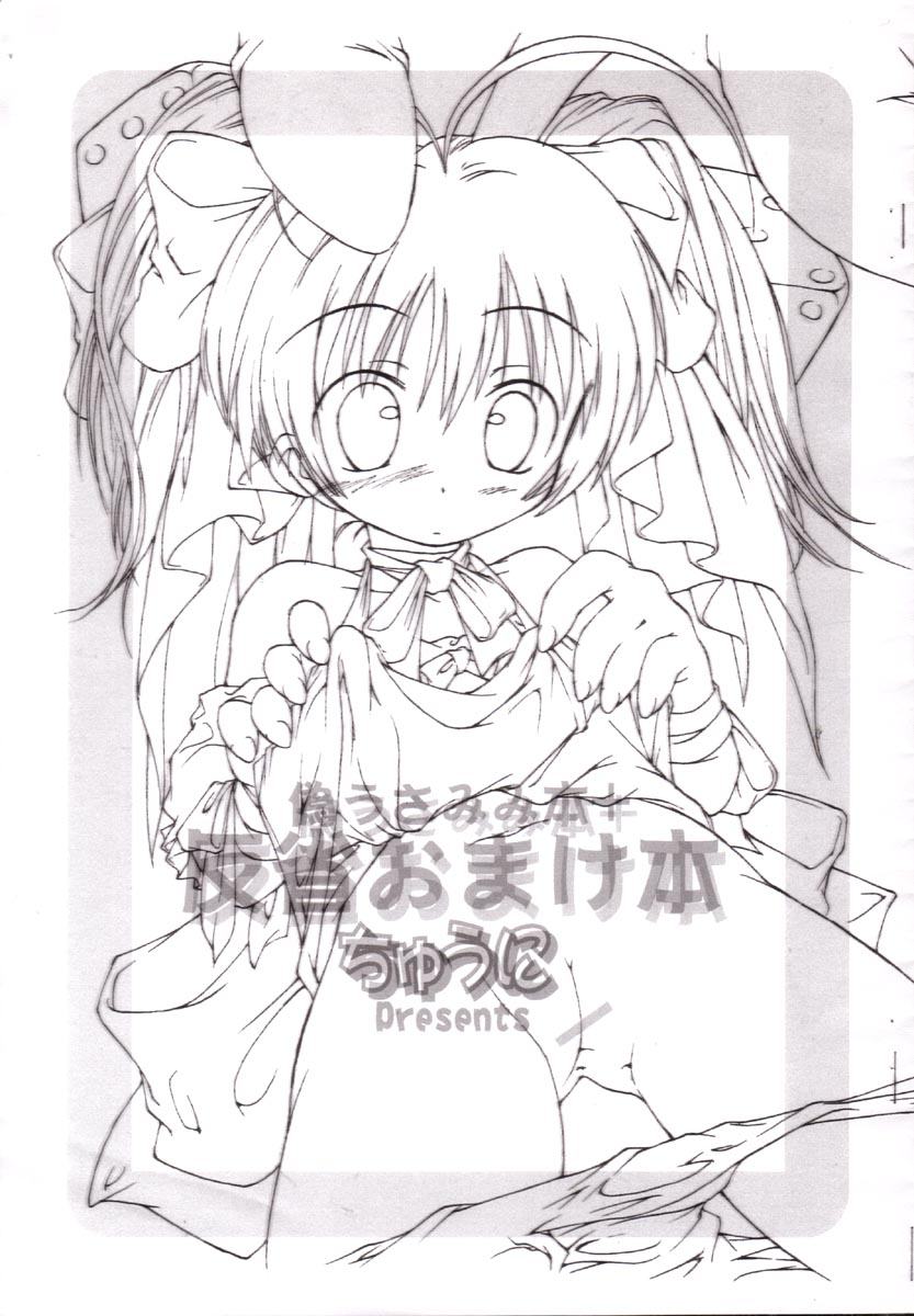 Nise Usamimi Bon + Hansei Omake Bon page 1 full