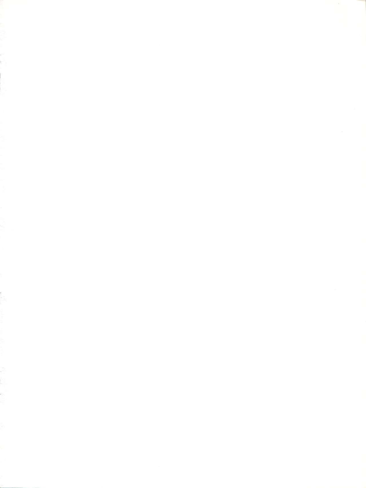 ACTIVE PEACH IV page 3 full