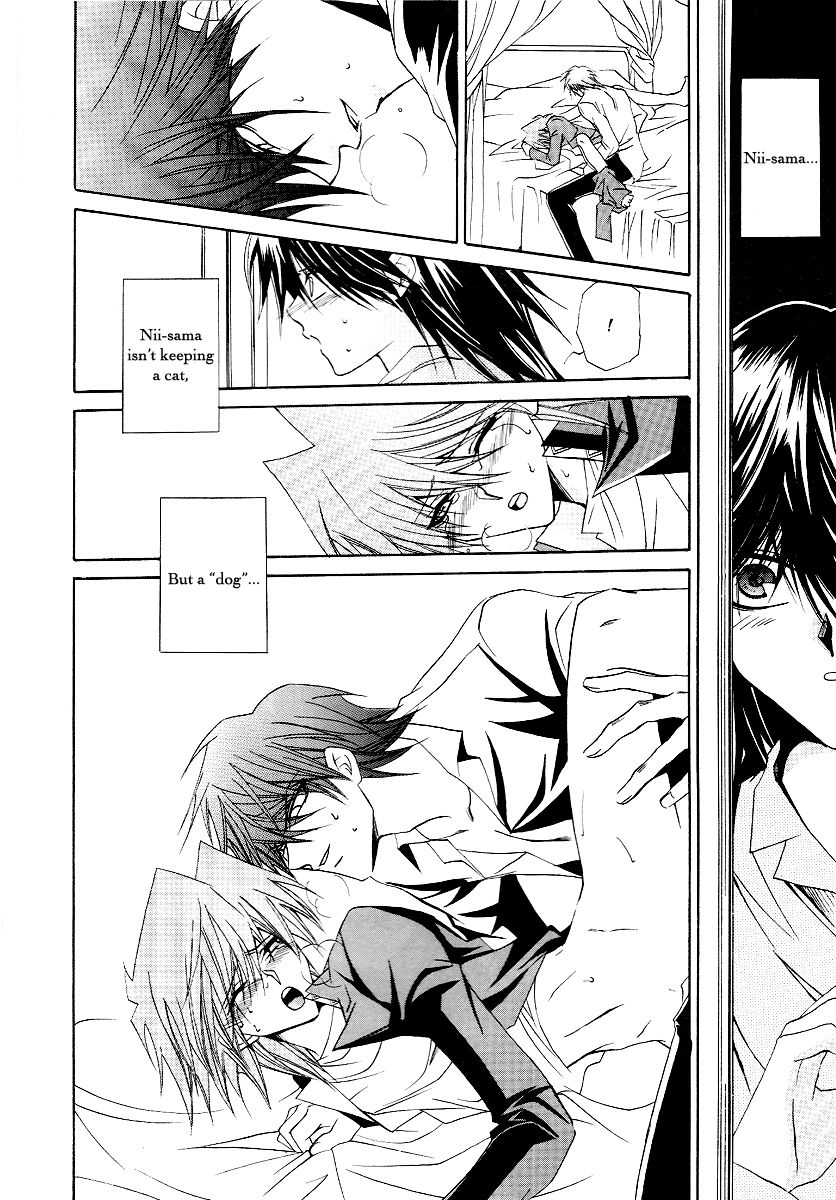 PRESEPIO page 5 full