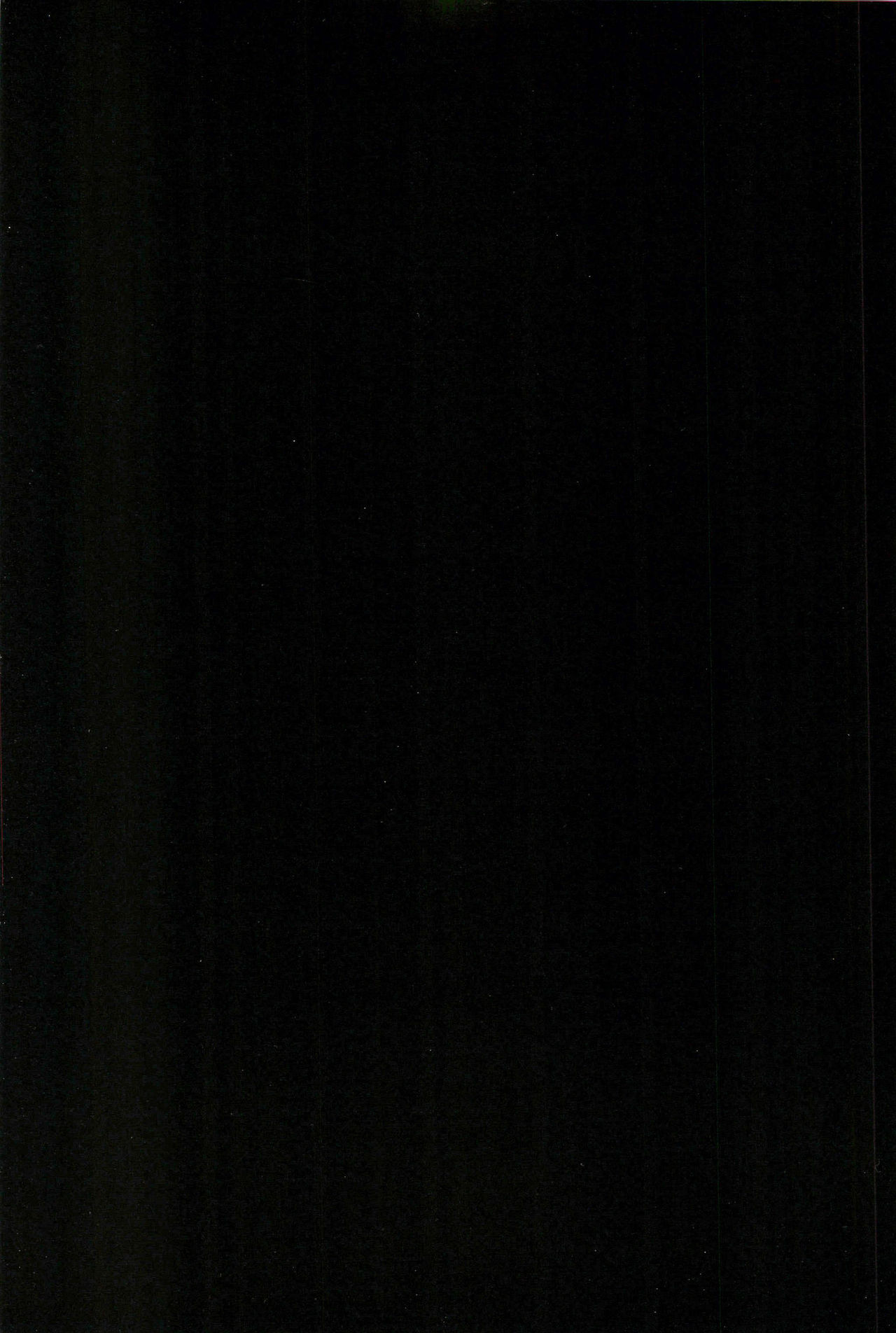 Touhou Roadkill Joint Publication page 3 full