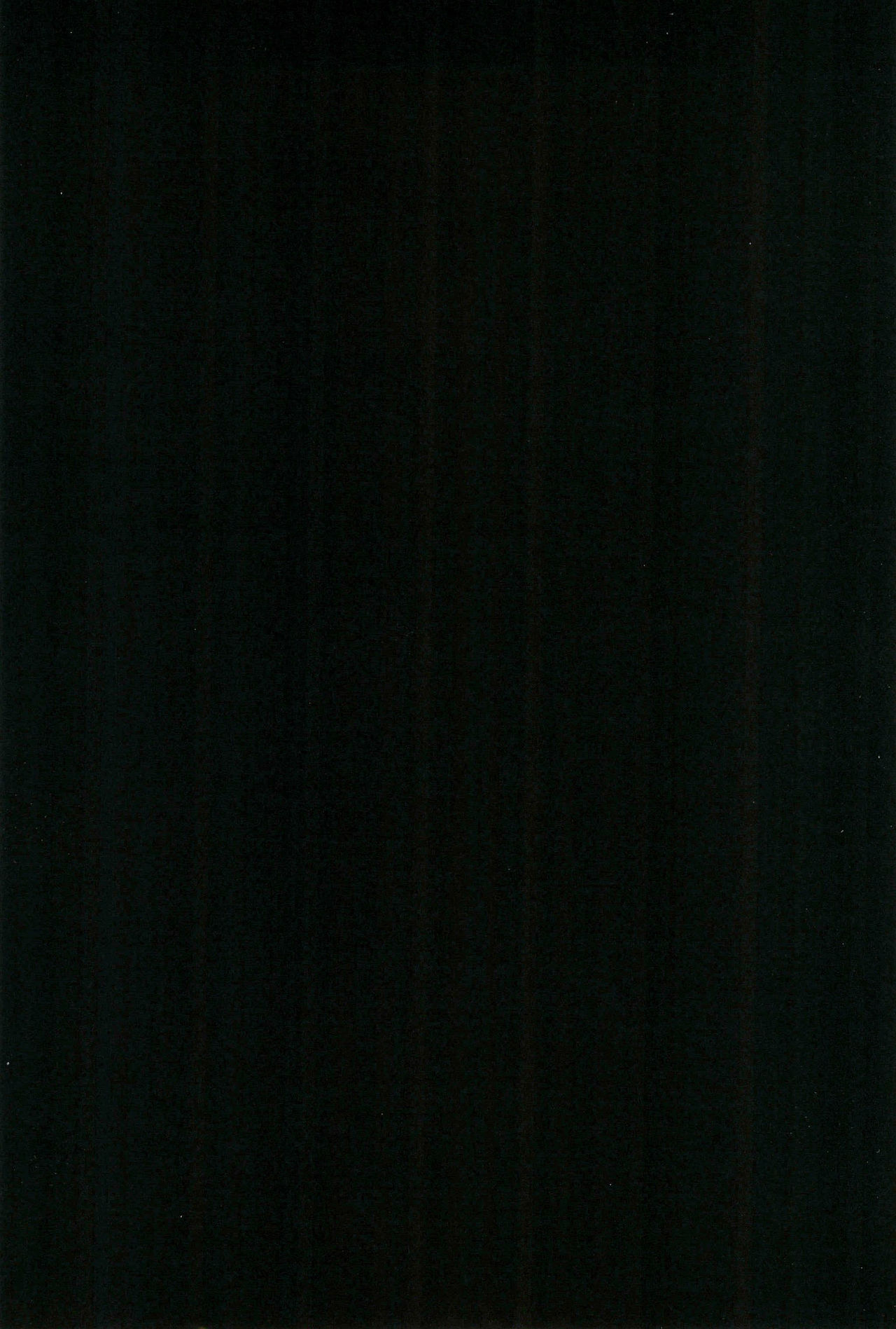 Touhou Roadkill Joint Publication page 4 full