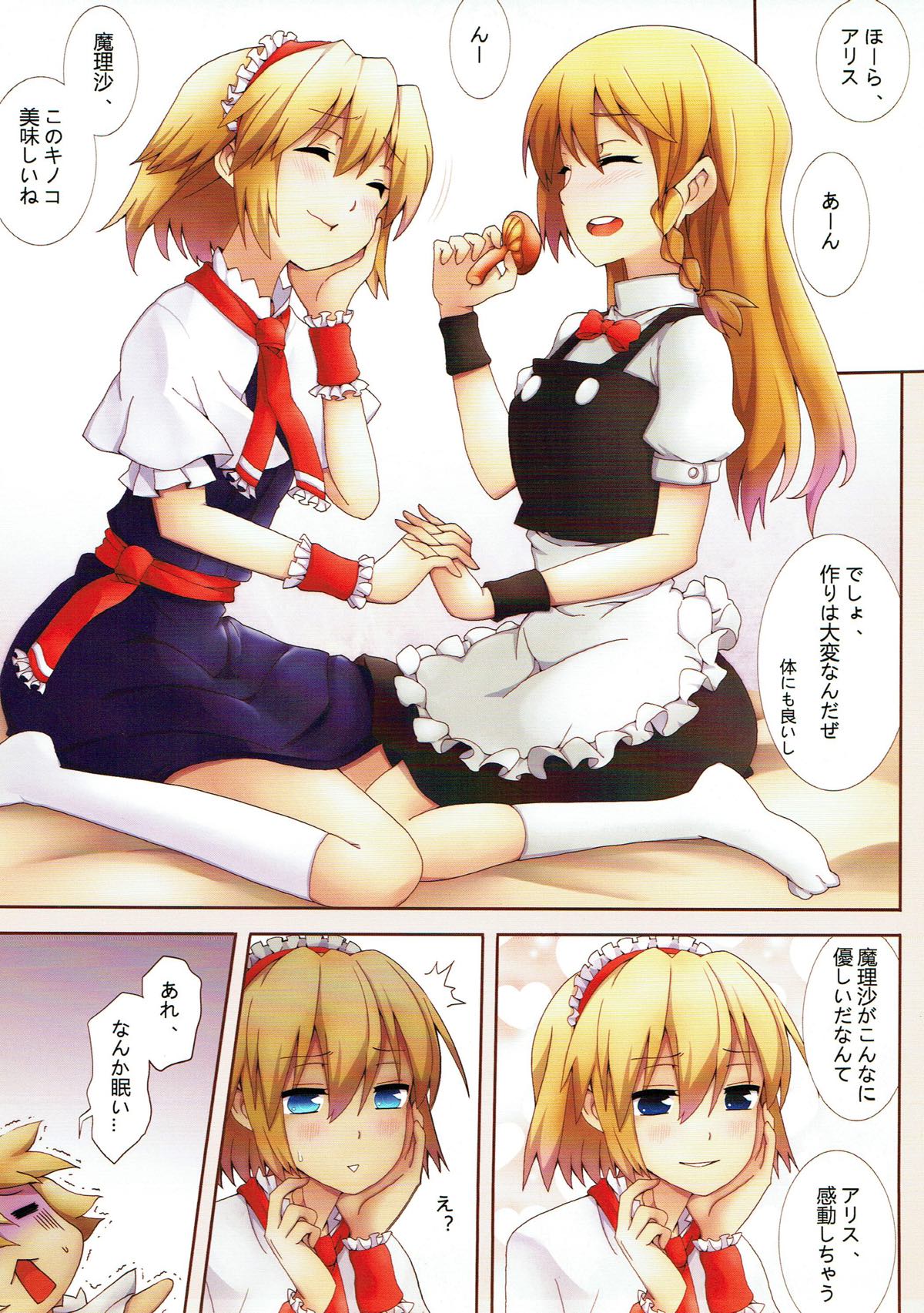 人形堕戀語 東方Project page 3 full