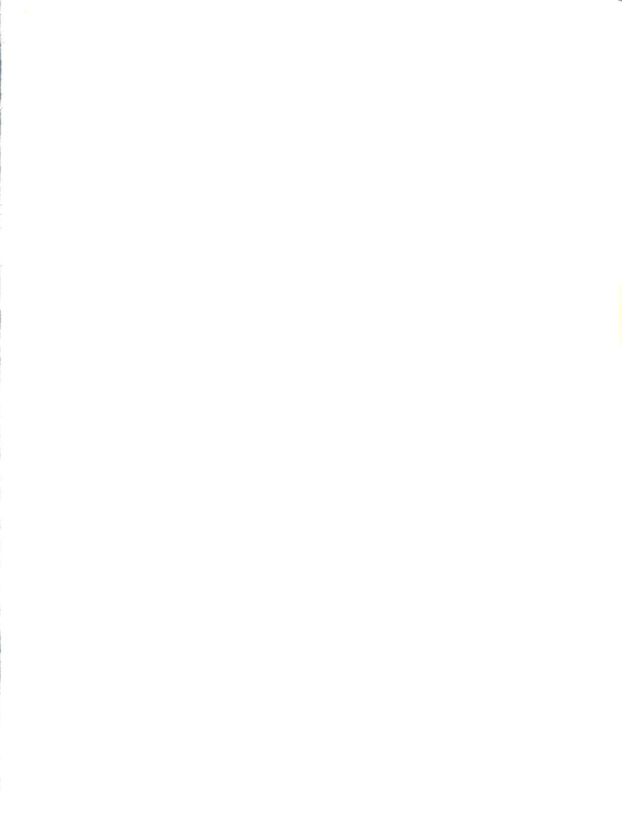 V-TIC MAX 3 page 2 full