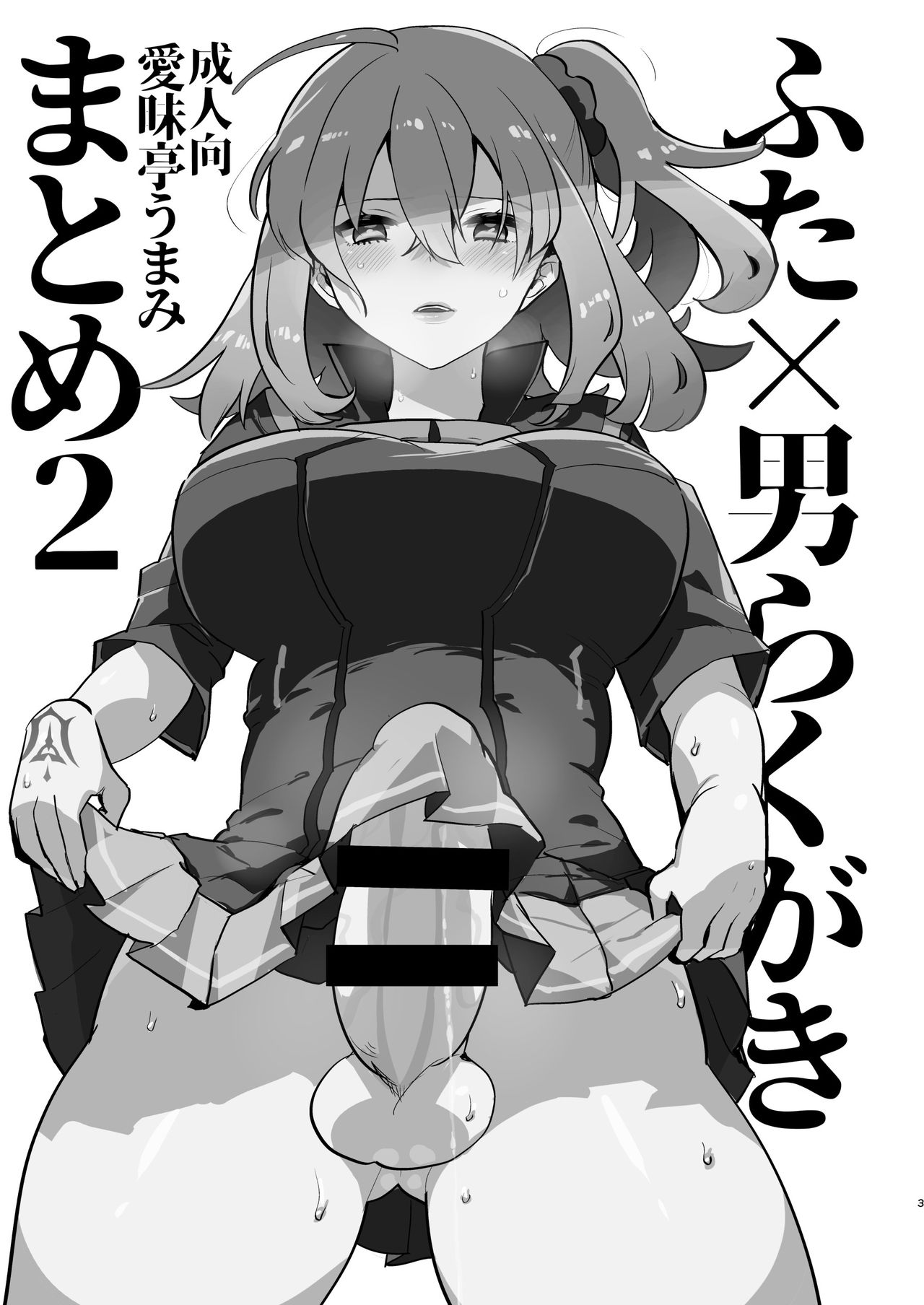 Futa x Otoko Rakugaki Matome 2 Fate Hen page 3 full