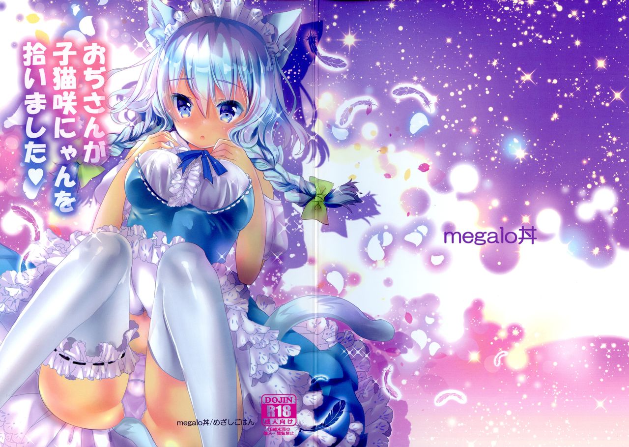 Oji-san ga Koneko Saki Nyan o Hiroimashita page 1 full