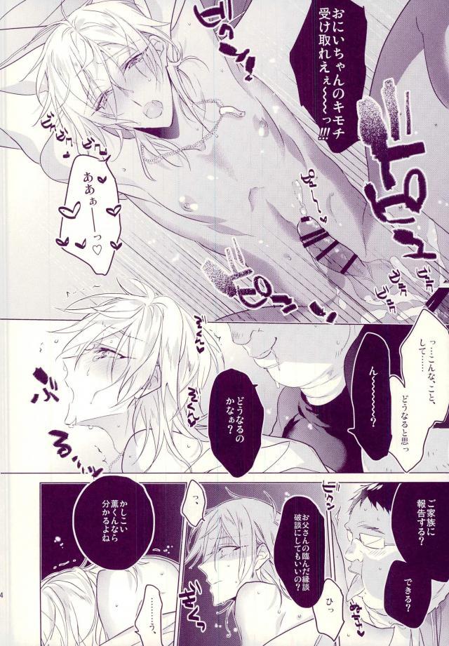 Onii-sama no Seidorei page 10 full