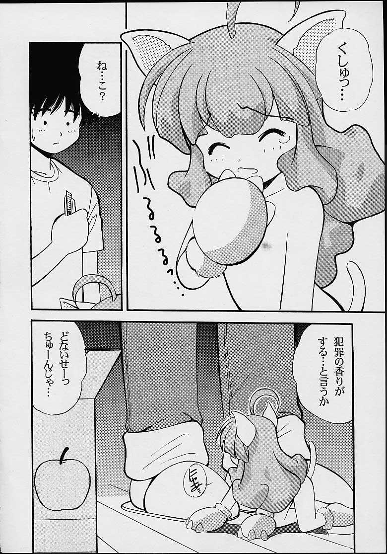 Fancia Ikusei Nikki page 3 full