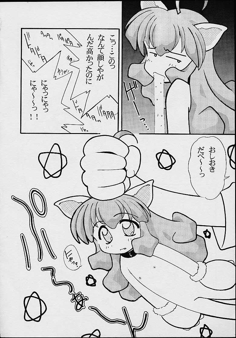 Fancia Ikusei Nikki page 5 full