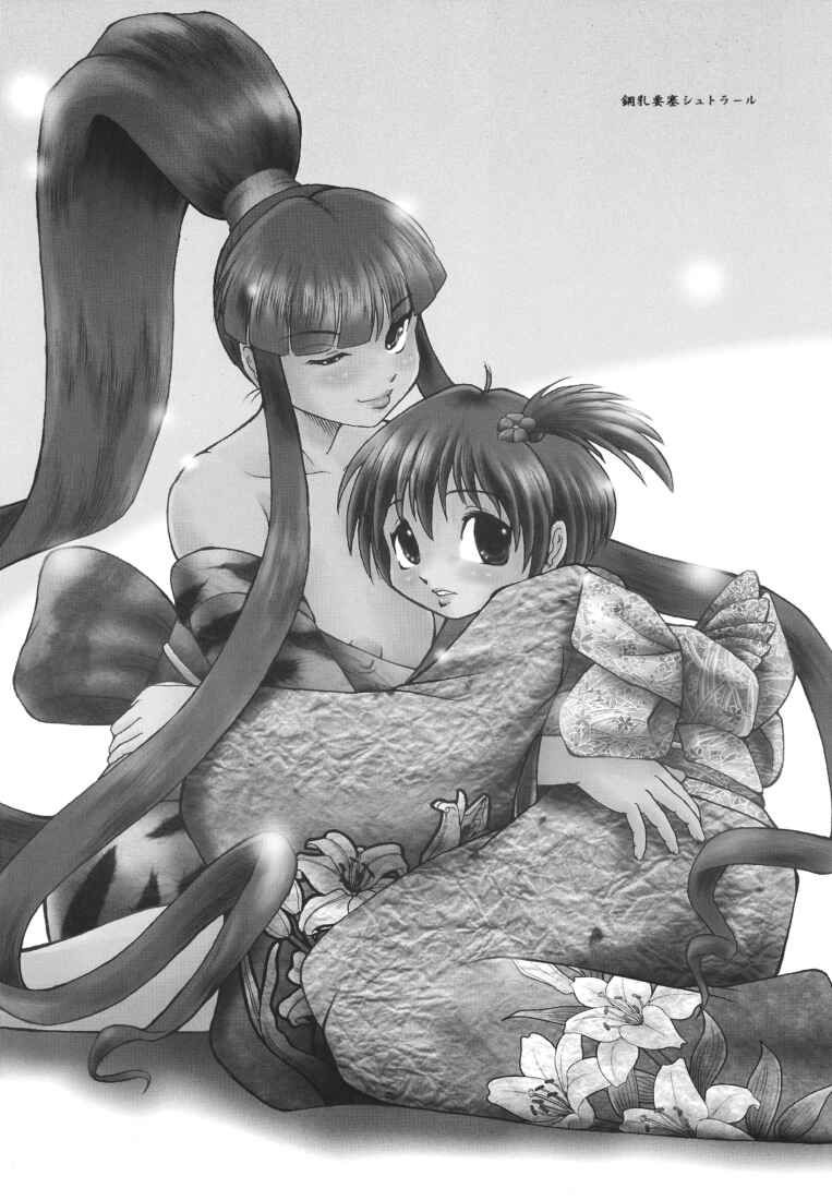 Chichi Senpuu 4 Kou Chichi Yousai STRAHL page 3 full