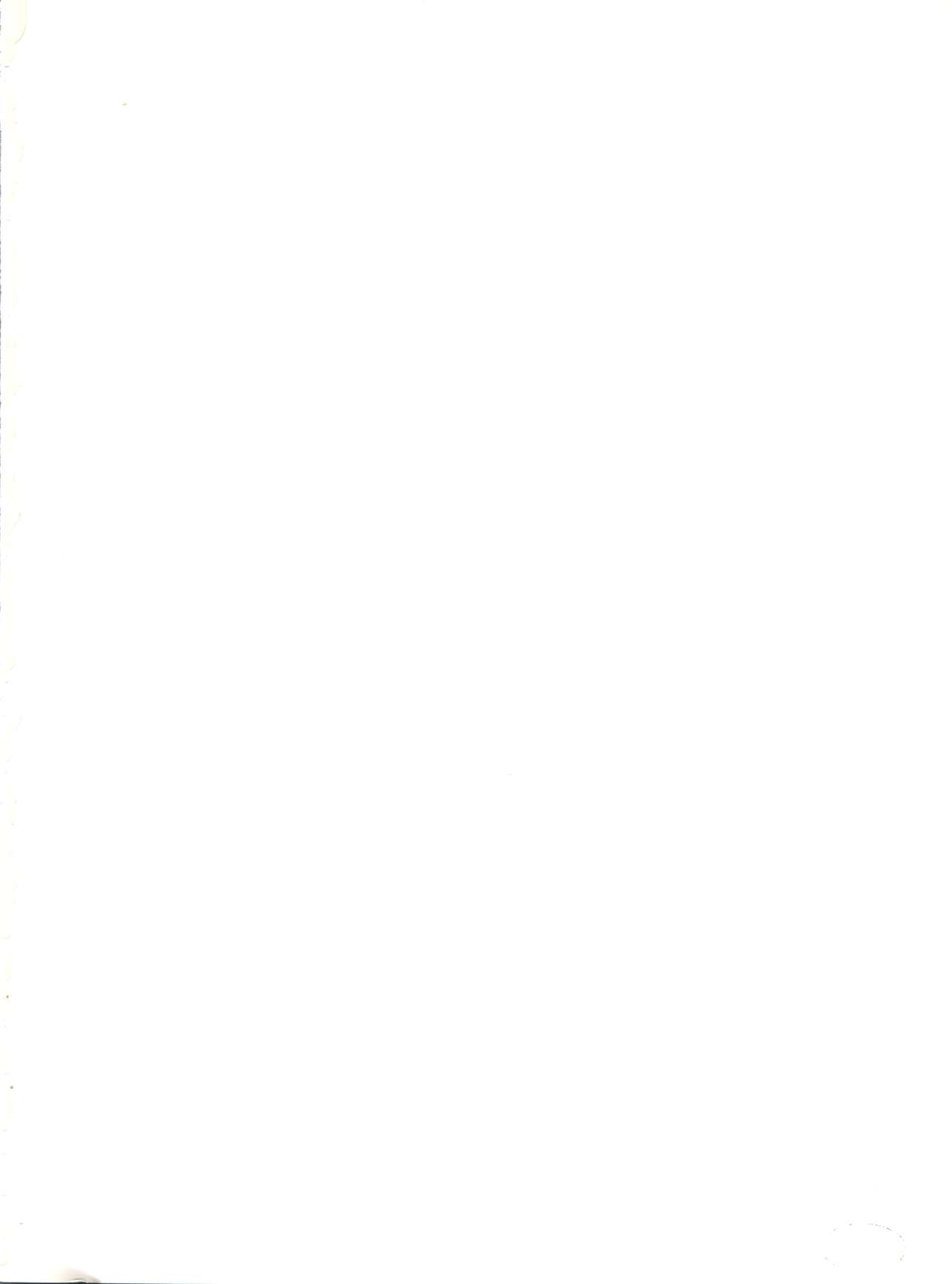 Negima Zone II page 2 full