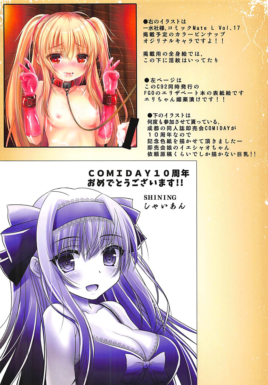 Fate-chan to Icha Love Ecchi Reflection page 9 full