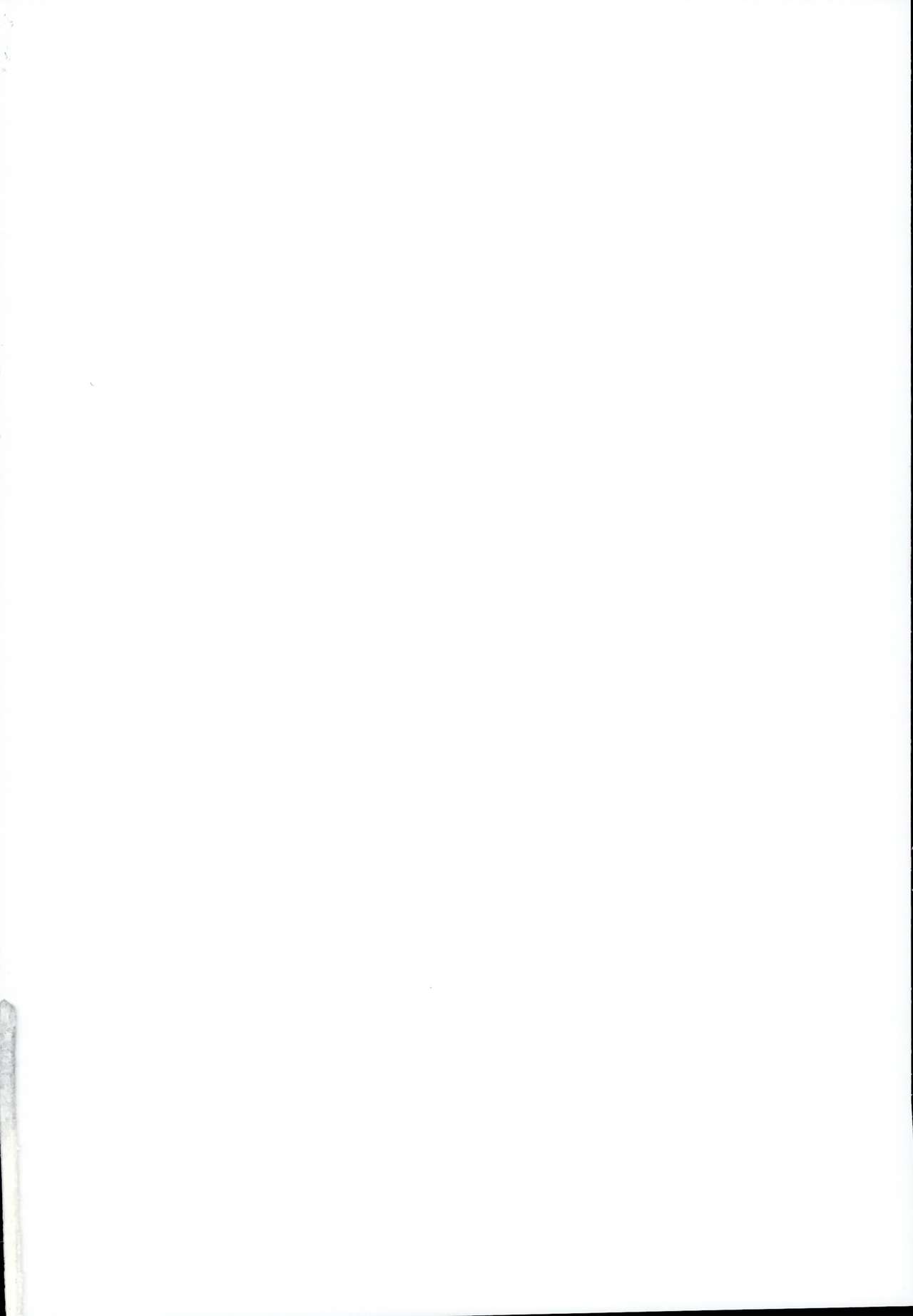 Touhou Jikan Soushuuhen 3 page 2 full