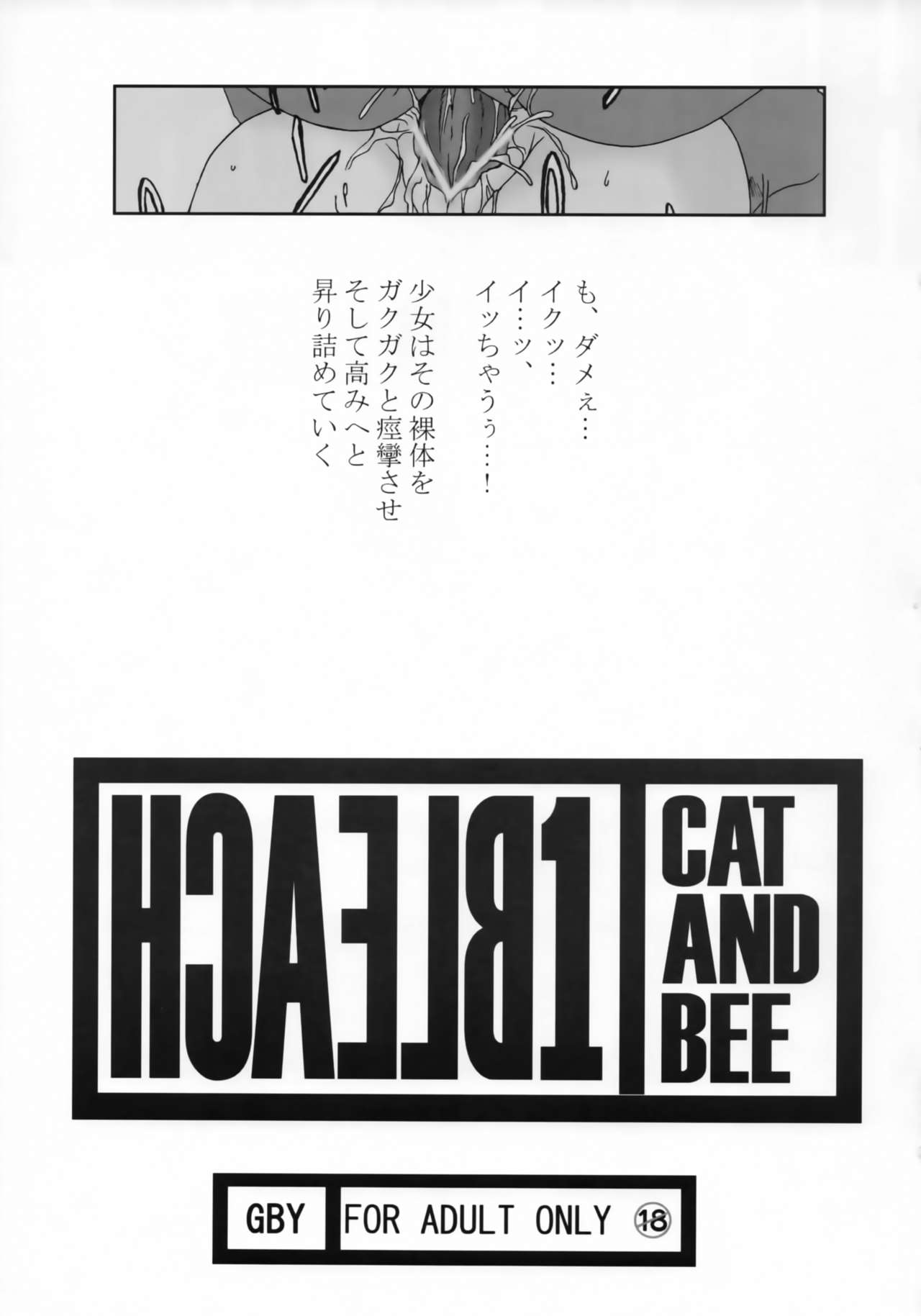 HCAELB -Ura Bleach- page 2 full