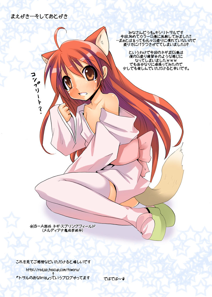 Mahou Sensei NegiMatsuri! page 4 full