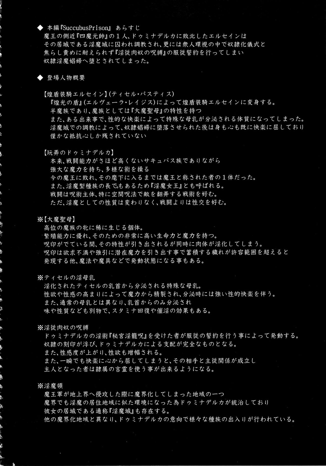 Shield Knight Elsain Vol. 15 Succubus Prison  SMDC-Translations page 4 full