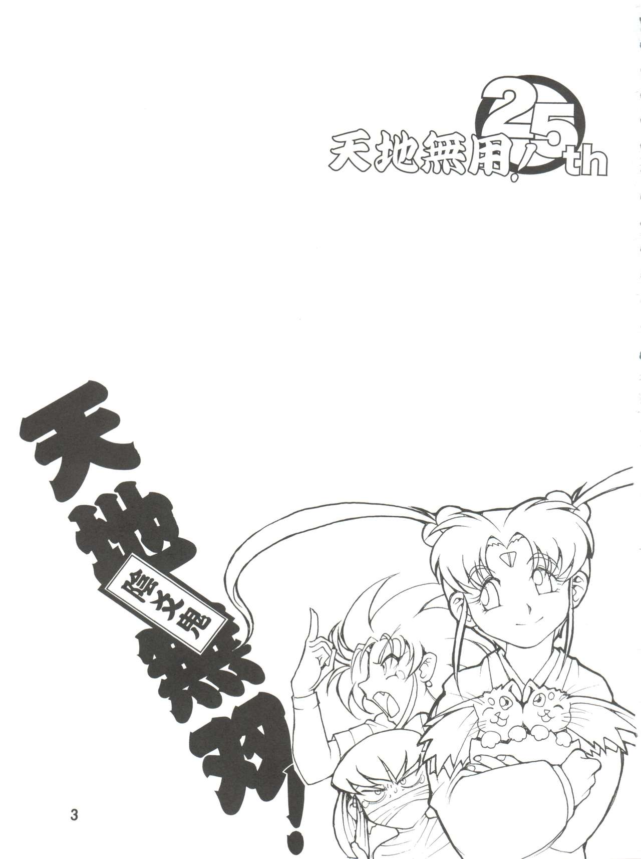 Tenchi Musou! Inkouki page 3 full