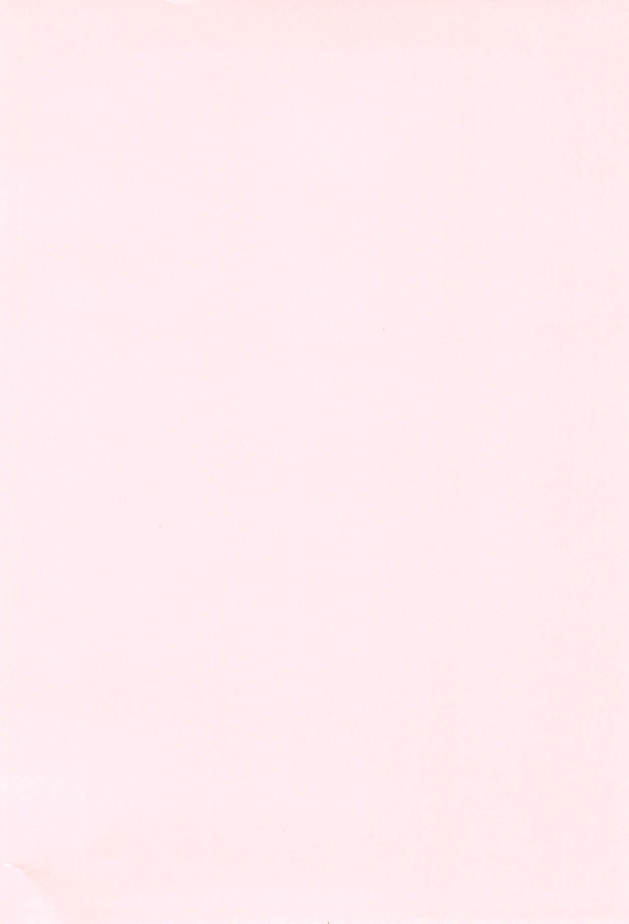 Wancho-ke Note CT19 page 4 full