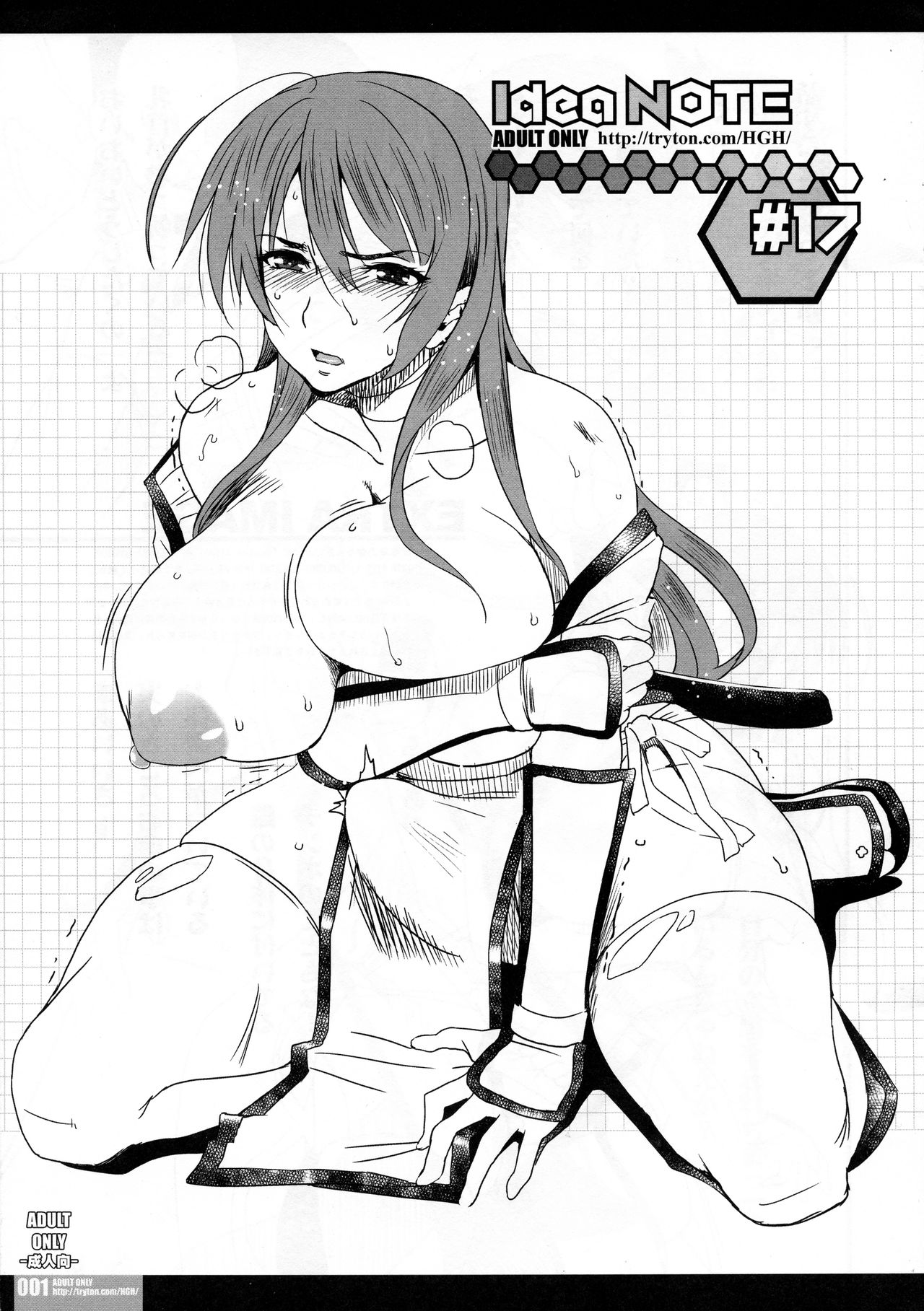 idea NOTE #17 page 1 full