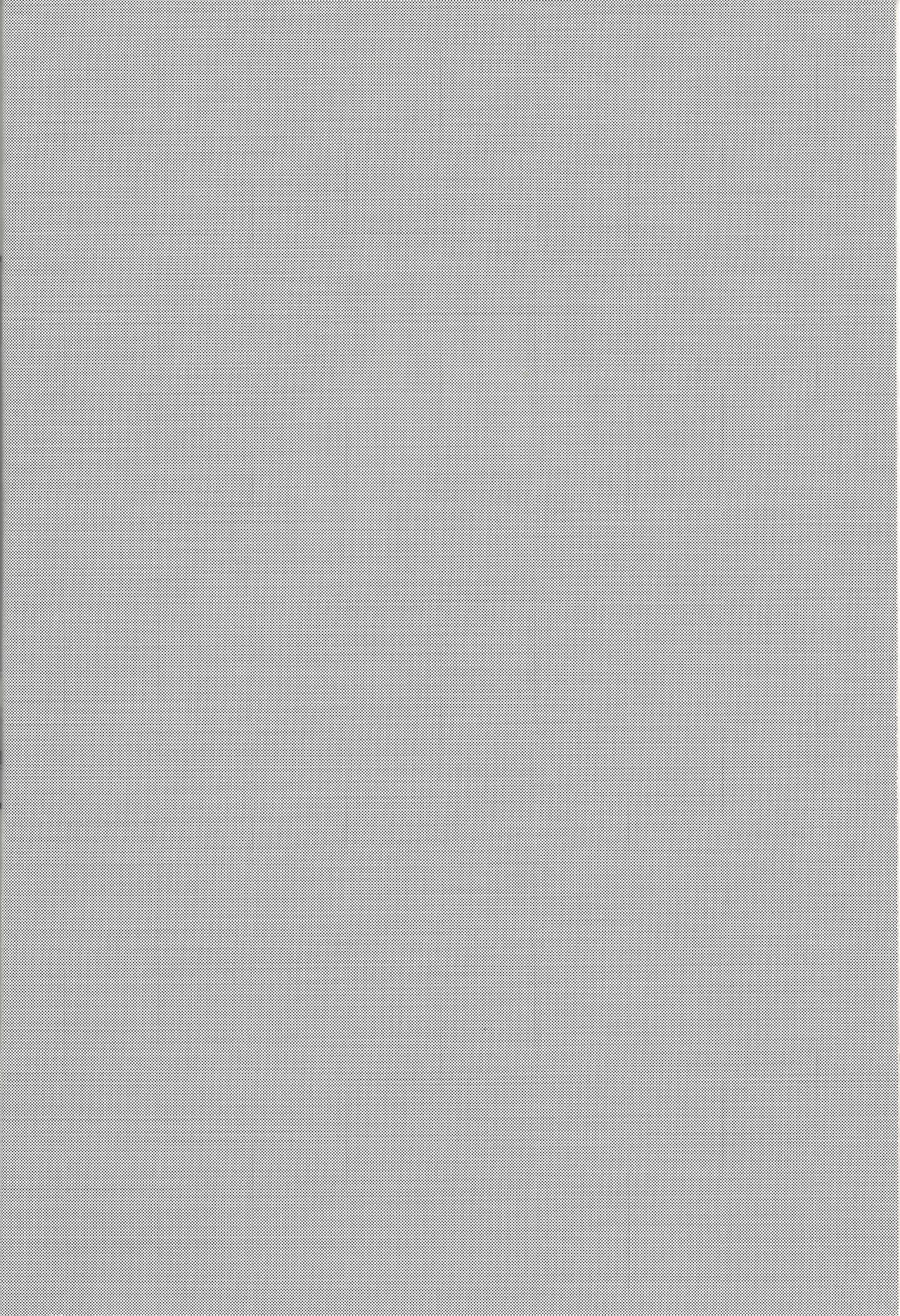 Mou Ikkai page 3 full