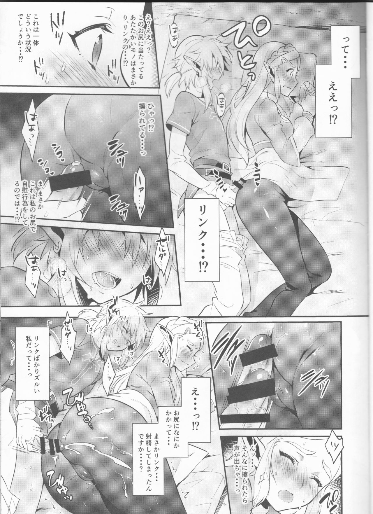 Hyrule Hanei no Tame no Katsudou! page 8 full