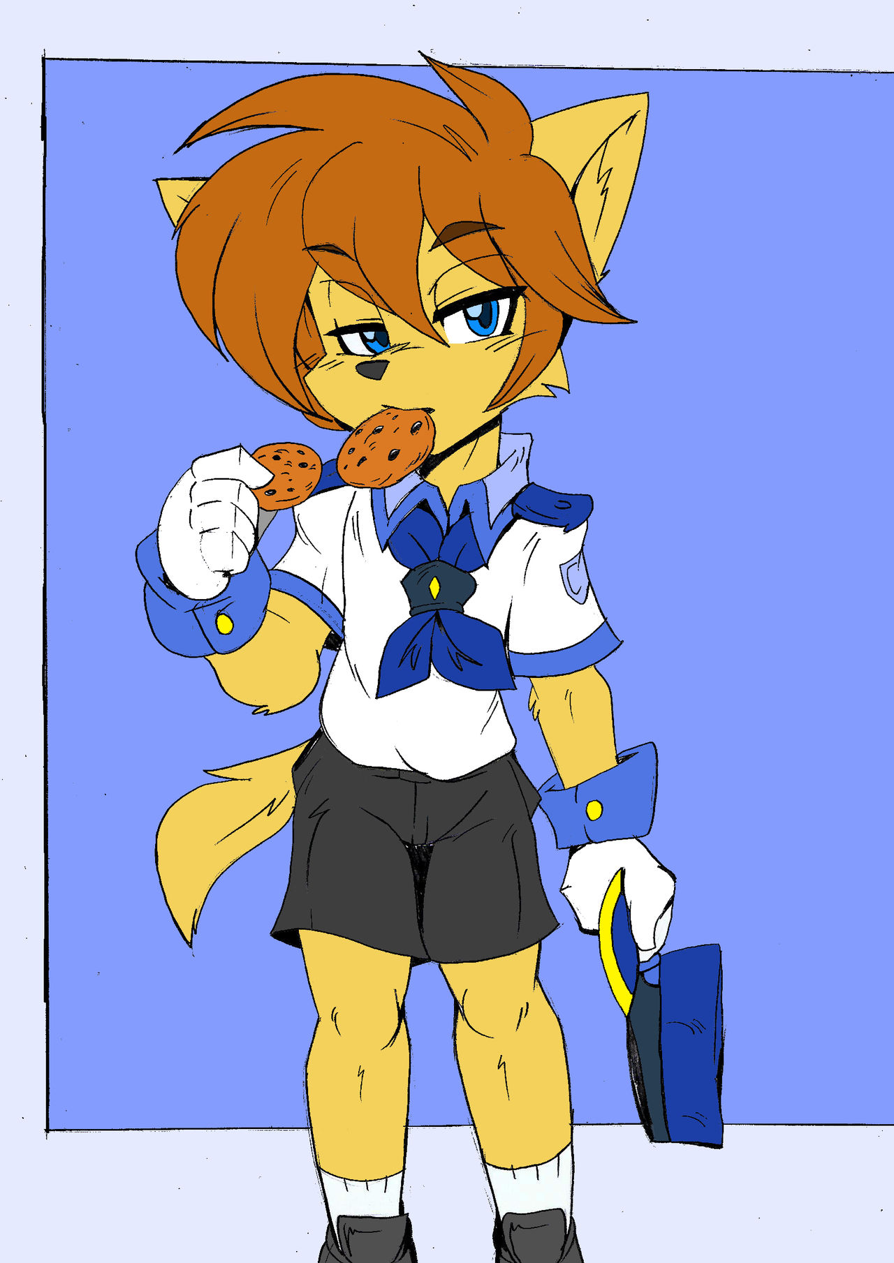 Cookie Selling - The Reward of a Scout page 2 full