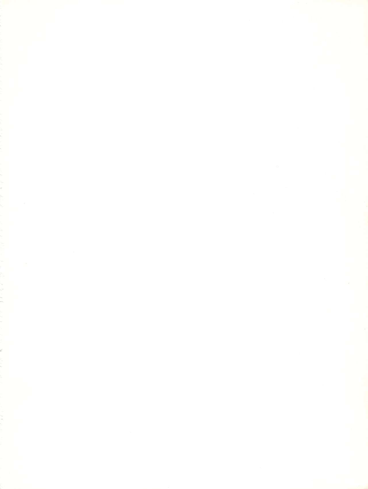 Meirei Denpa IV Zettai Ansei page 2 full