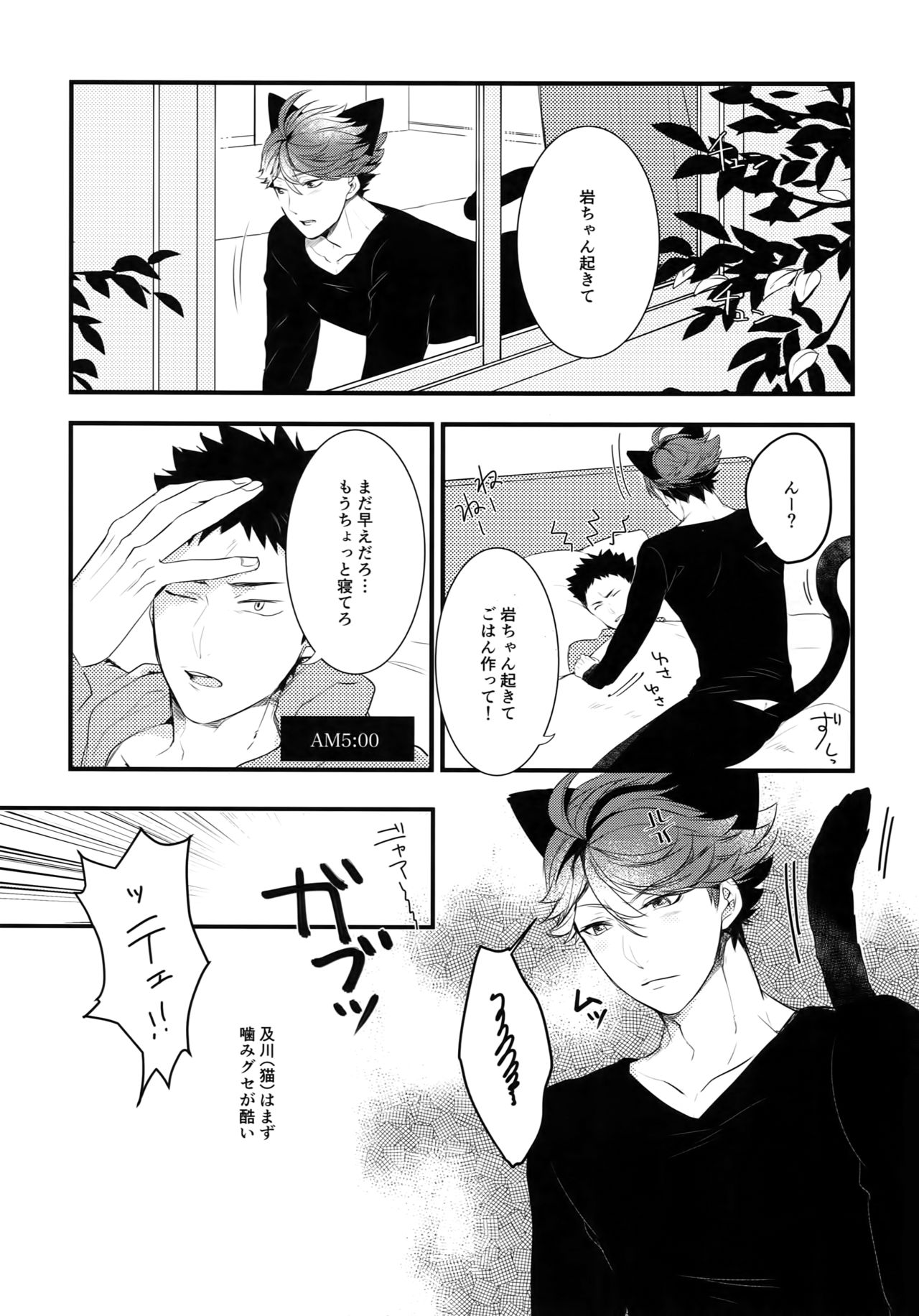 Iwachan no Neko ni Naritai Sairoku-Shuu page 10 full