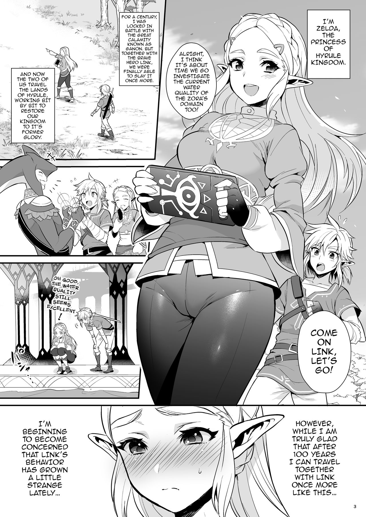 Hyrule Hanei no Tame no Katsudou! | Activities for the Sake of Hyrule’s Future! page 4 full