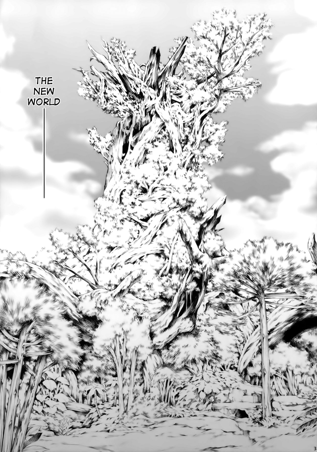 Solo Hunter no Seitai WORLD page 3 full