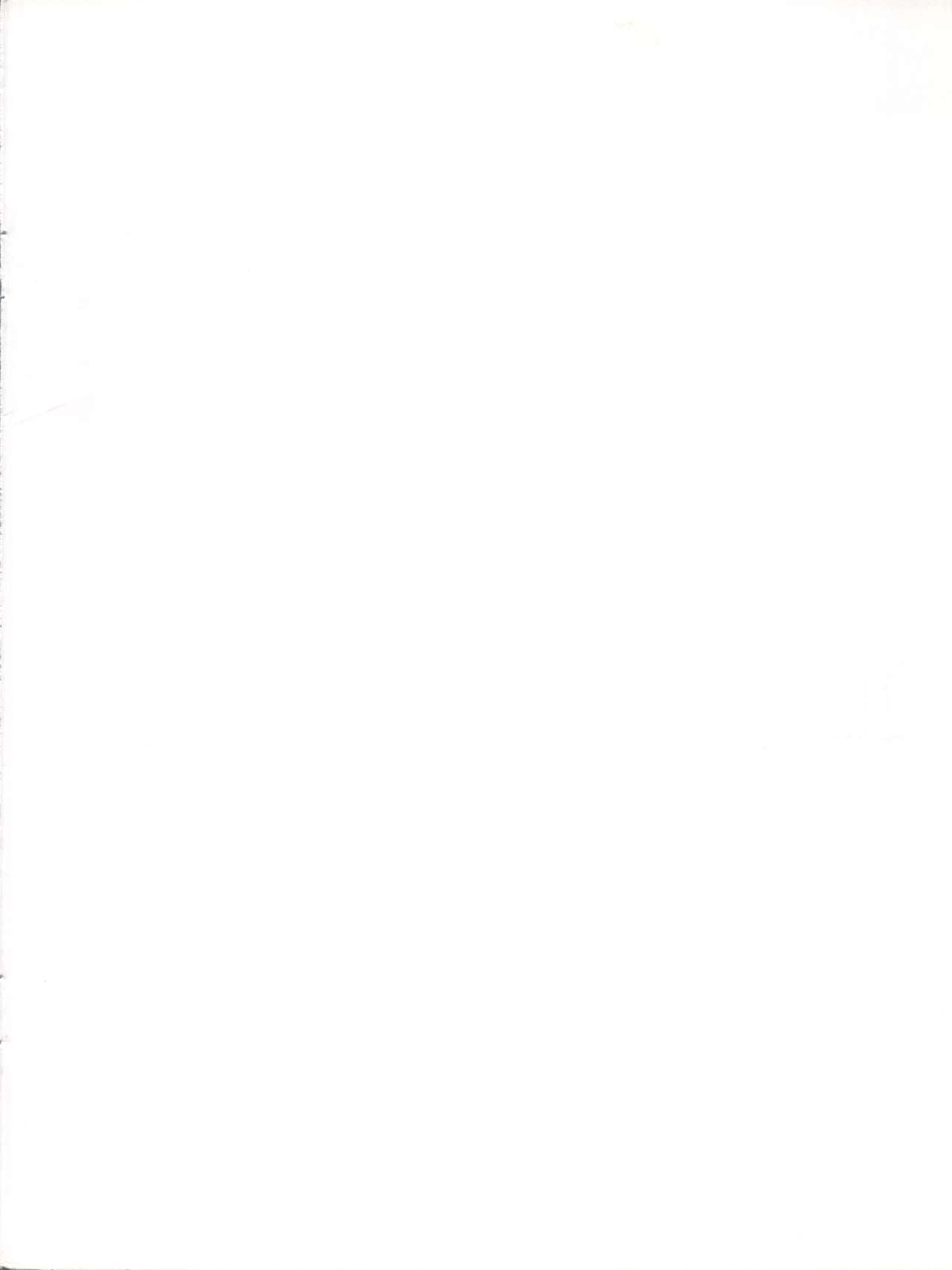 Elie-chan Daikatsuyaku!! page 2 full