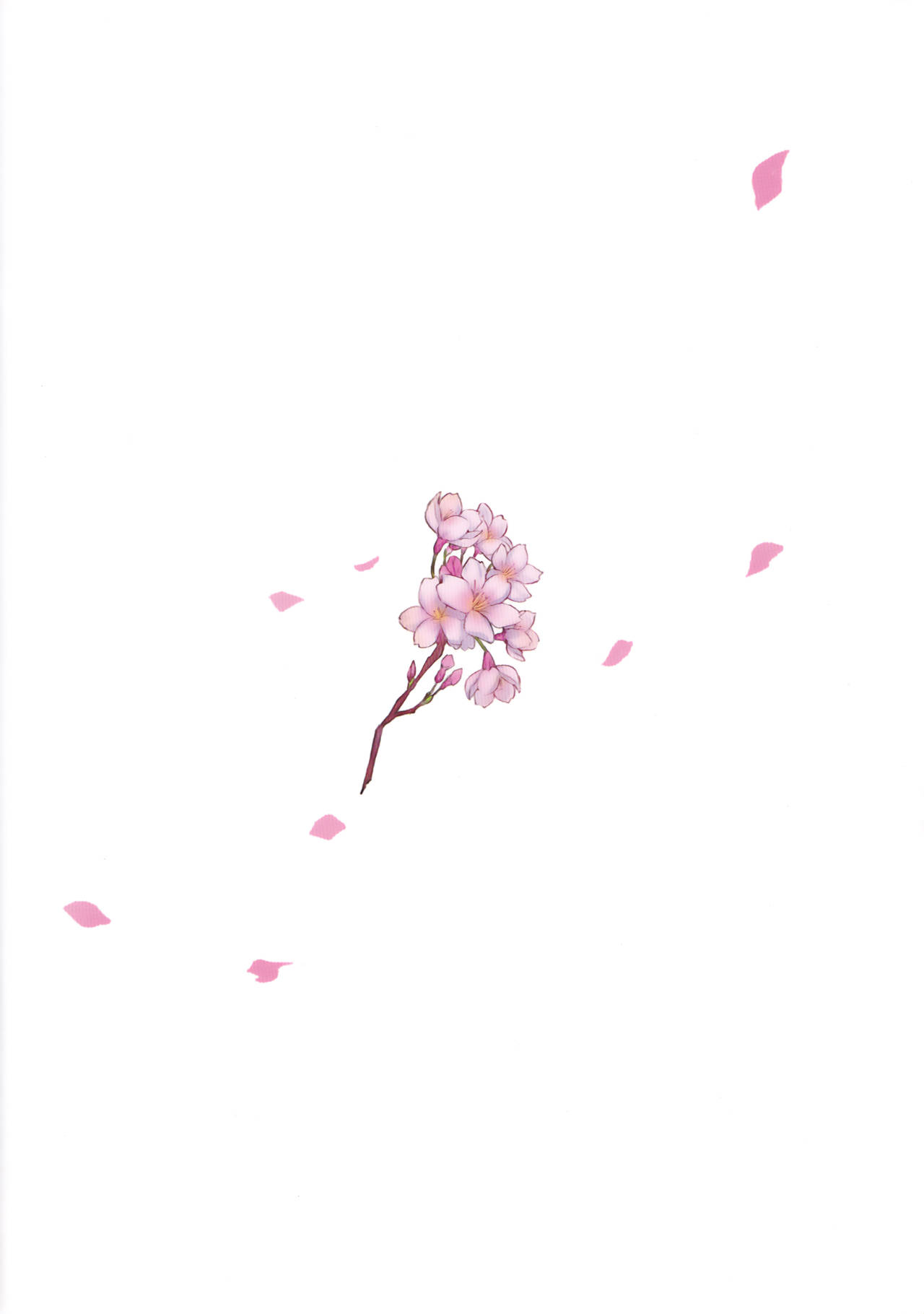 Irui Konintan Gaiden page 2 full