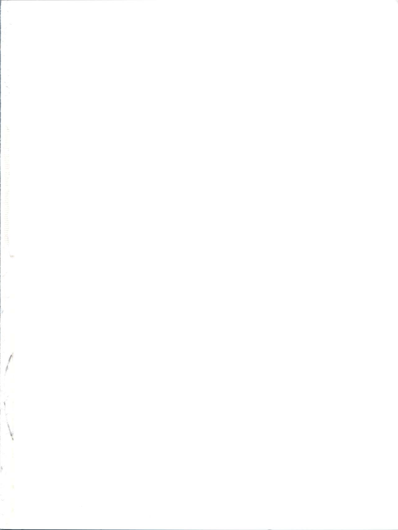 Tokitsukaze Wanwan Festival page 2 full