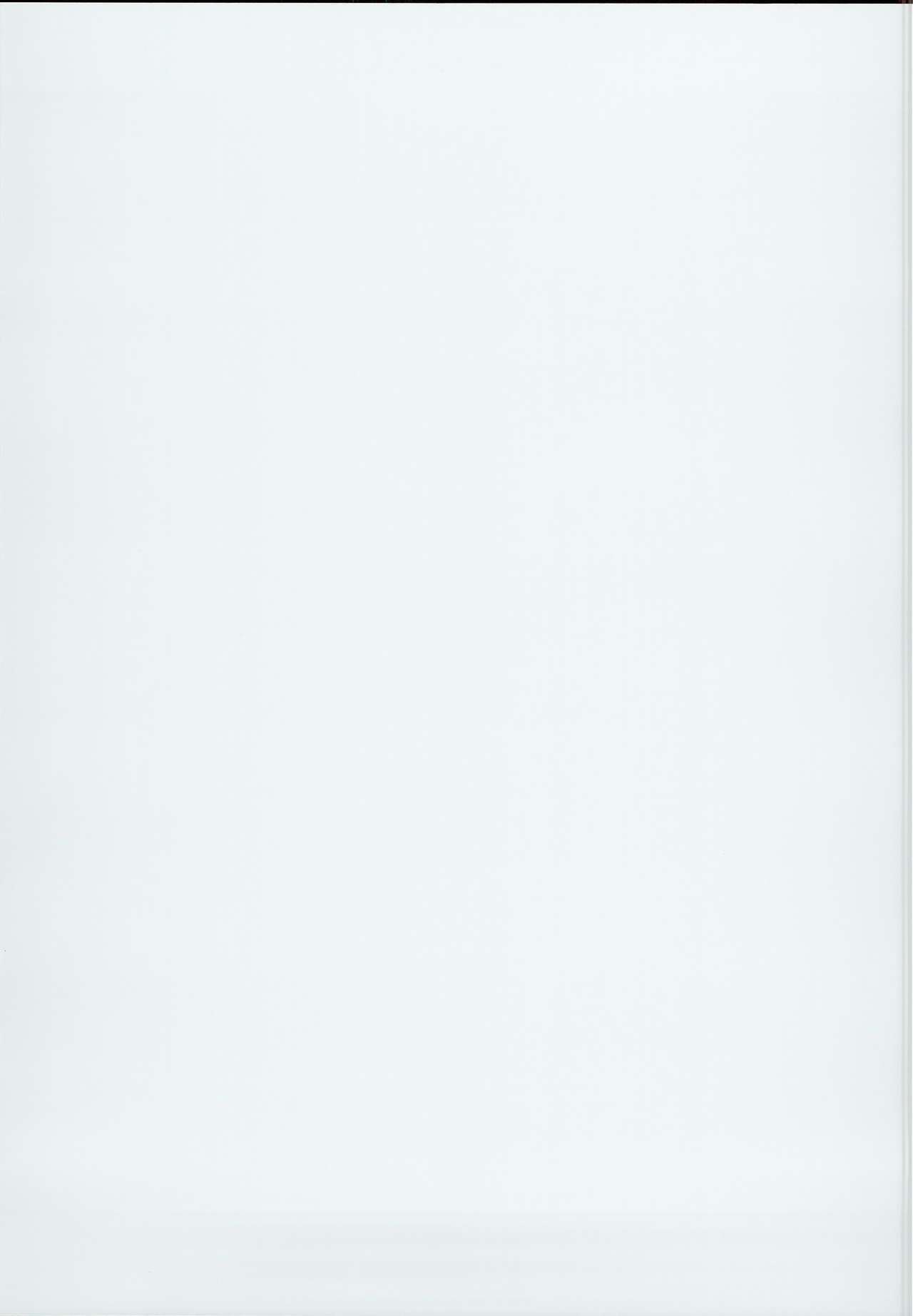 Lassie DEMO GLANBLUE MIX page 2 full