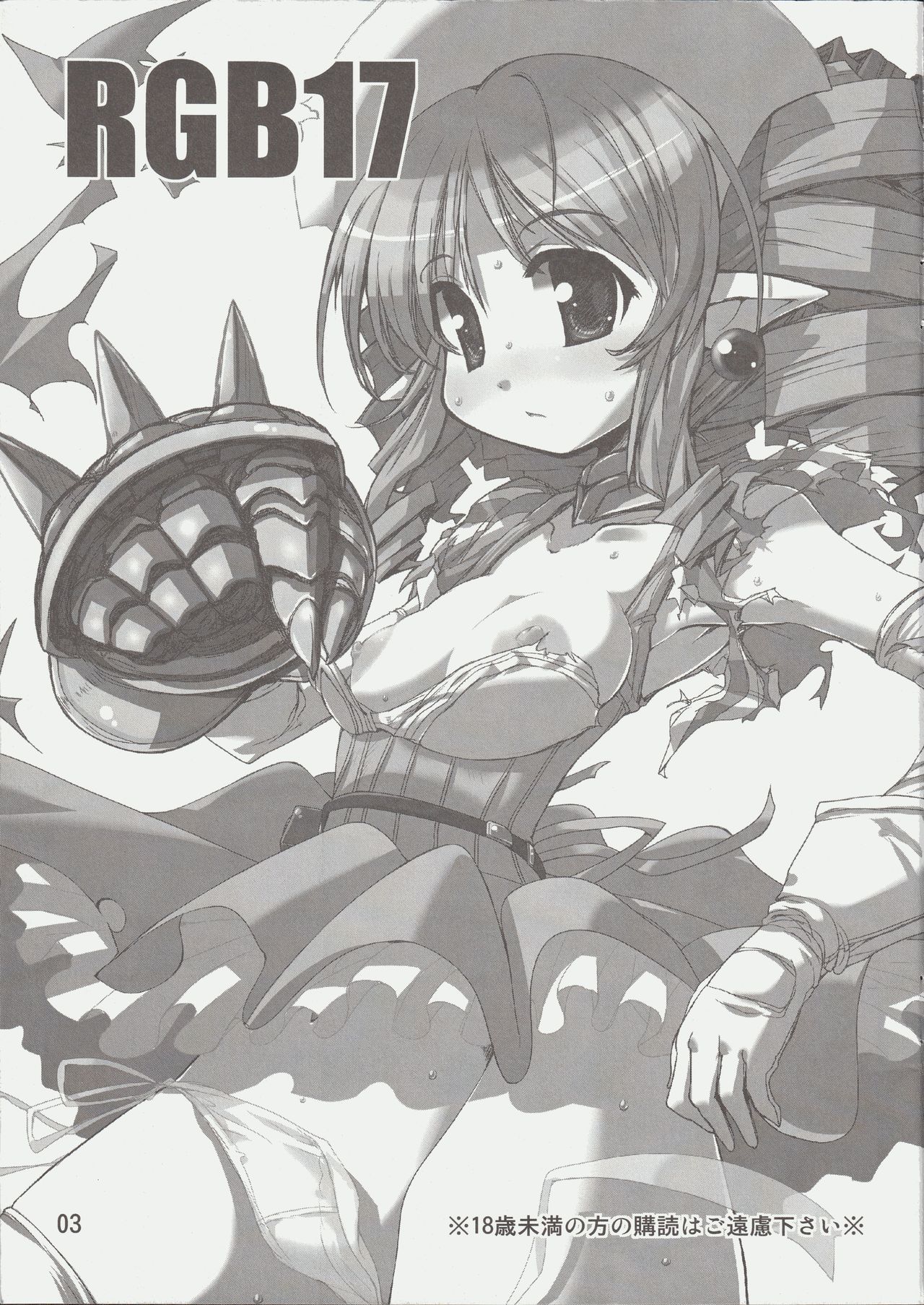 RGB-17 page 3 full