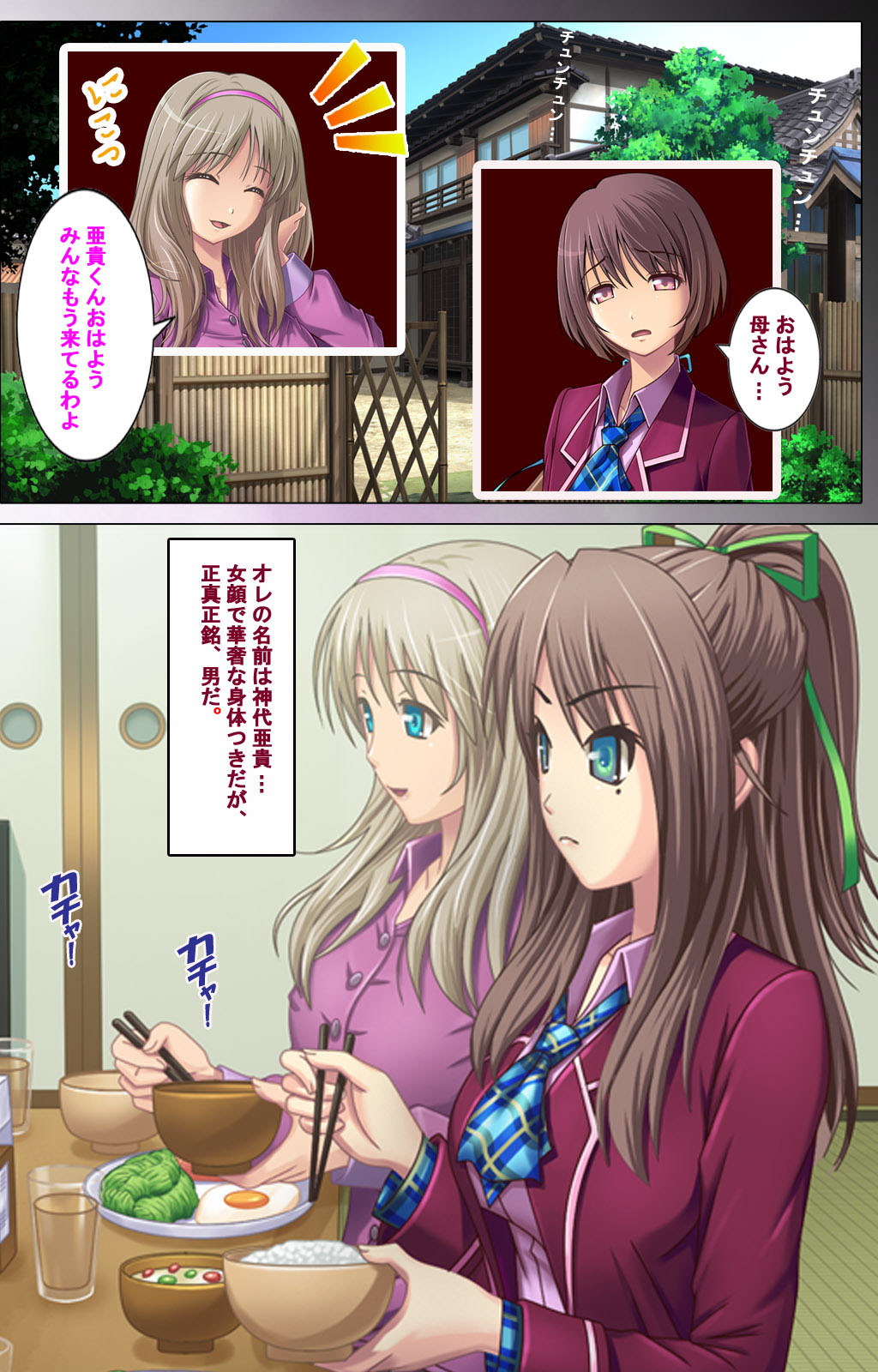 Zutto! Josou de Haramasete Kanzenban page 10 full