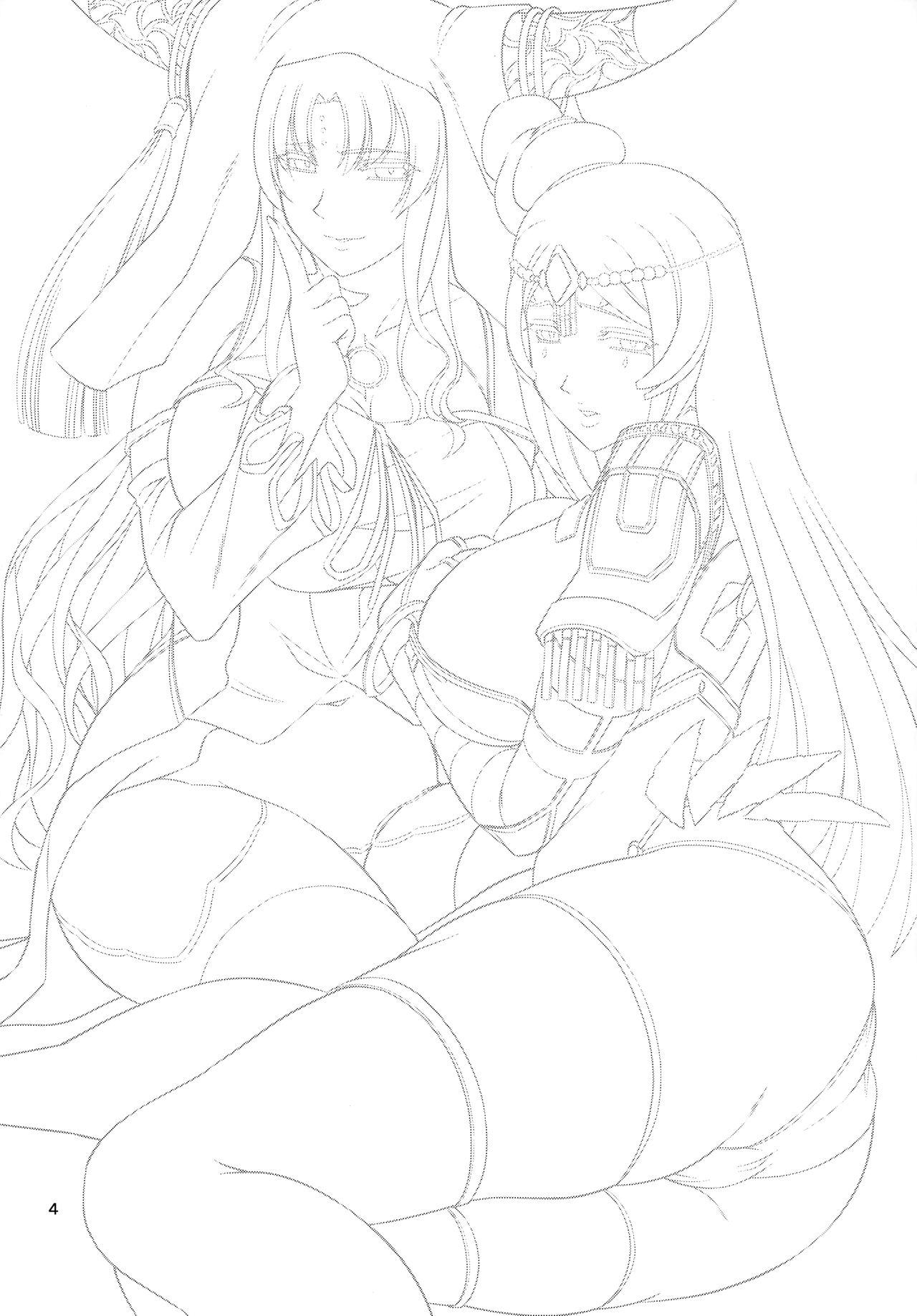 Sessyoinshiki Chaldea Hokan Keikaku page 4 full