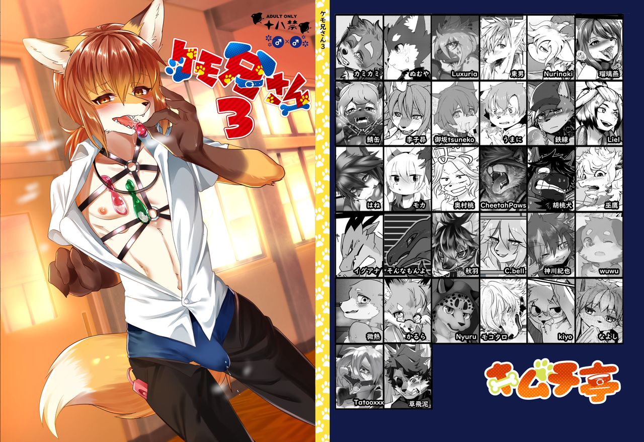 Kemo Nii-san 3 page 1 full