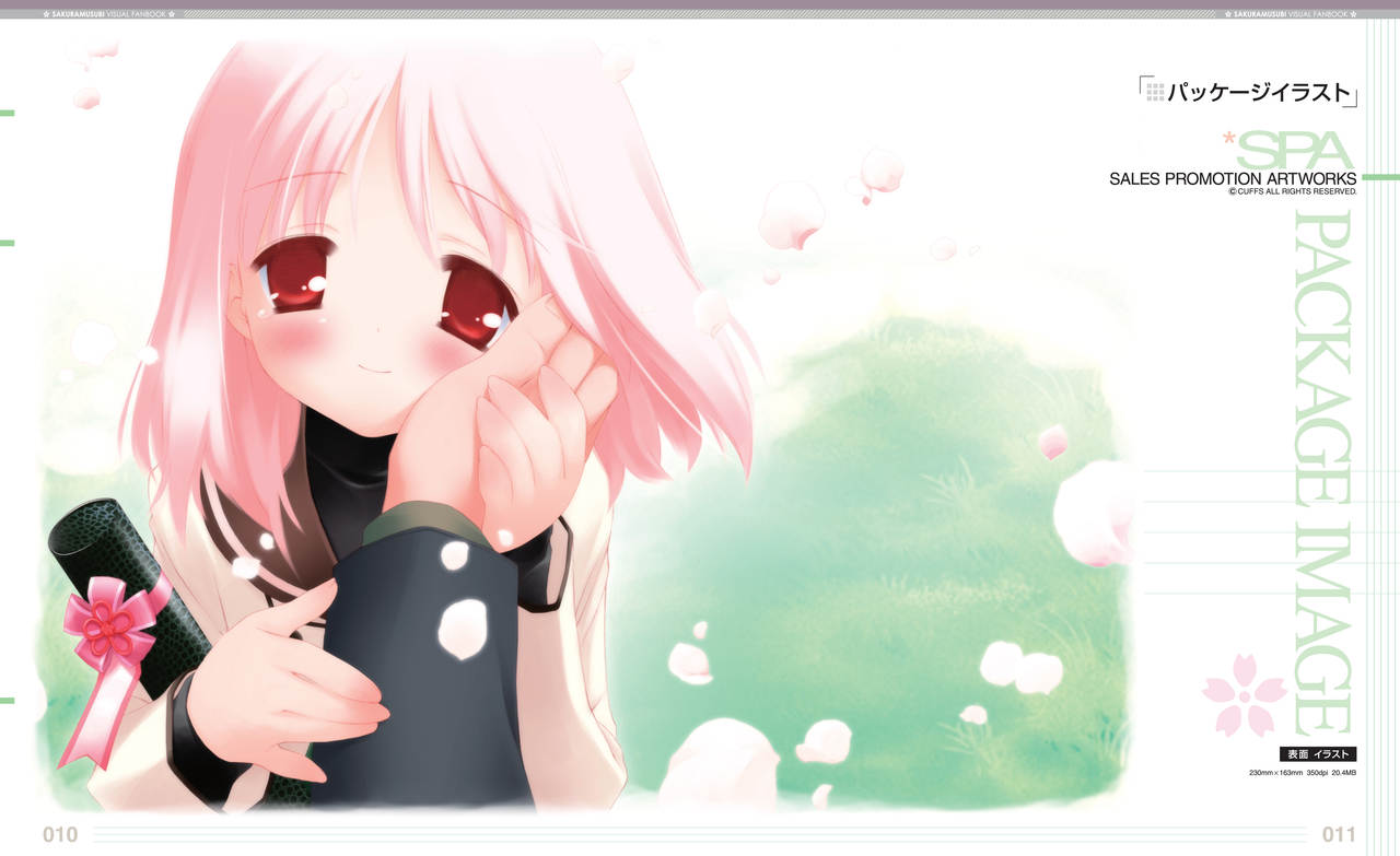 Sakura Musubi Visual Fanbook page 10 full