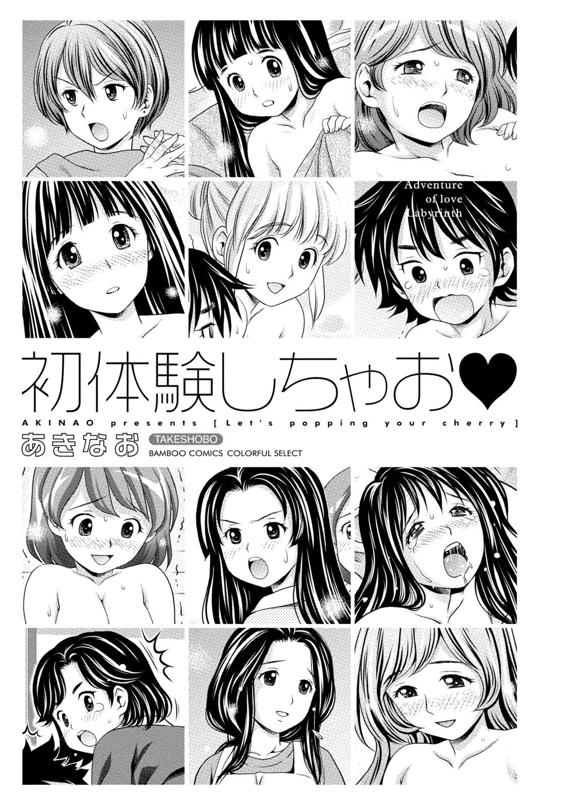 Hatsutaiken Shichao - Let's popping your cherry page 4 full