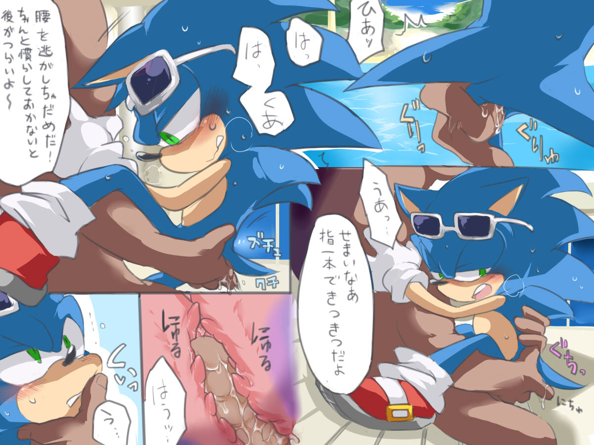 ソニックさんのちっさい体でめいっぱい感じてほしかった page 2 full