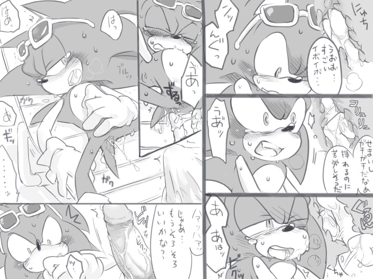 ソニックさんのちっさい体でめいっぱい感じてほしかった page 4 full