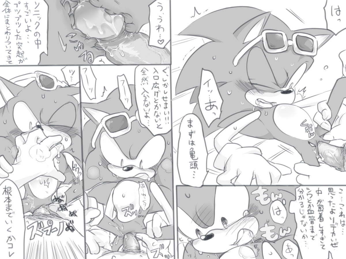 ソニックさんのちっさい体でめいっぱい感じてほしかった page 6 full