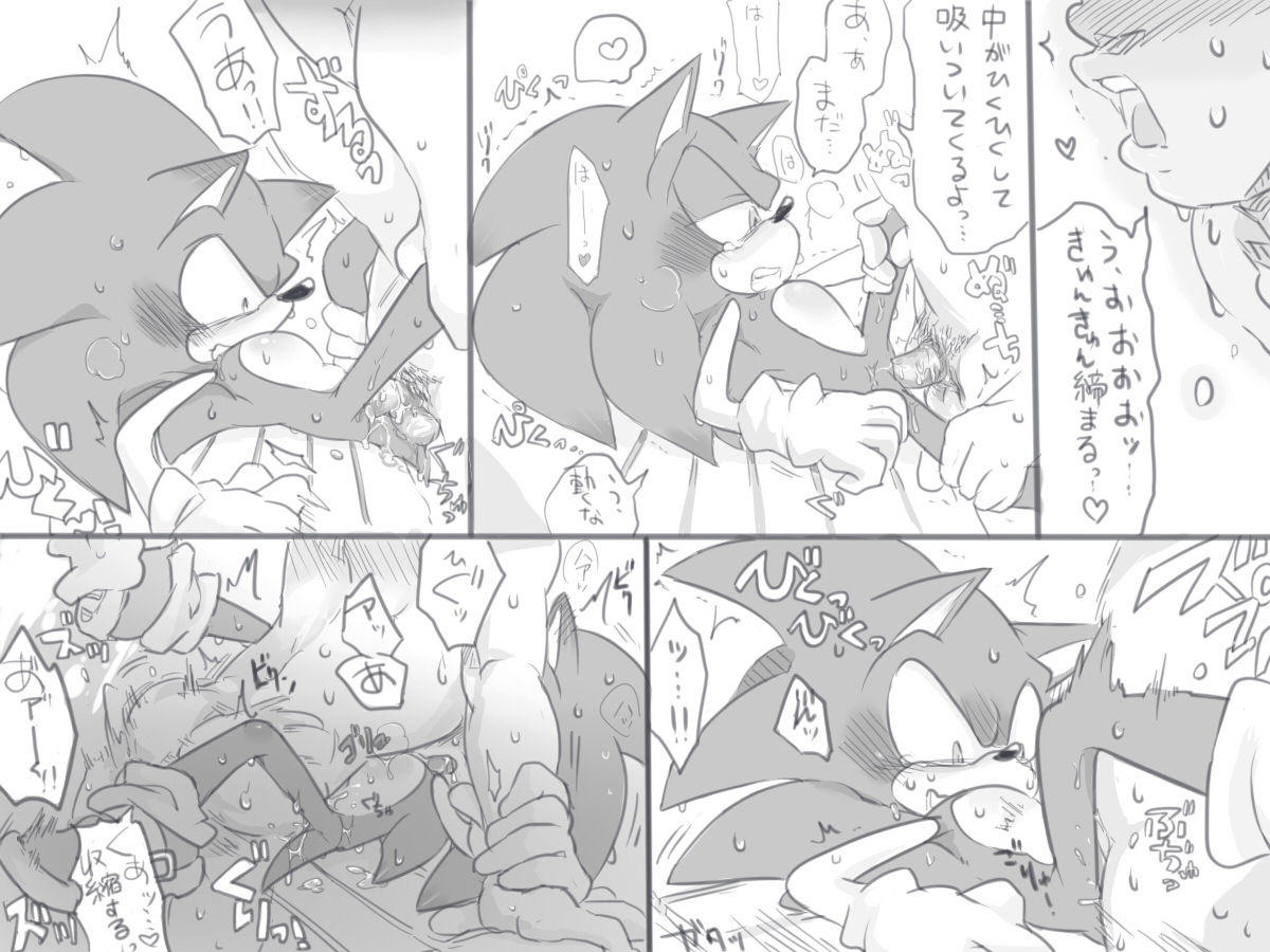 ソニックさんのちっさい体でめいっぱい感じてほしかった page 9 full