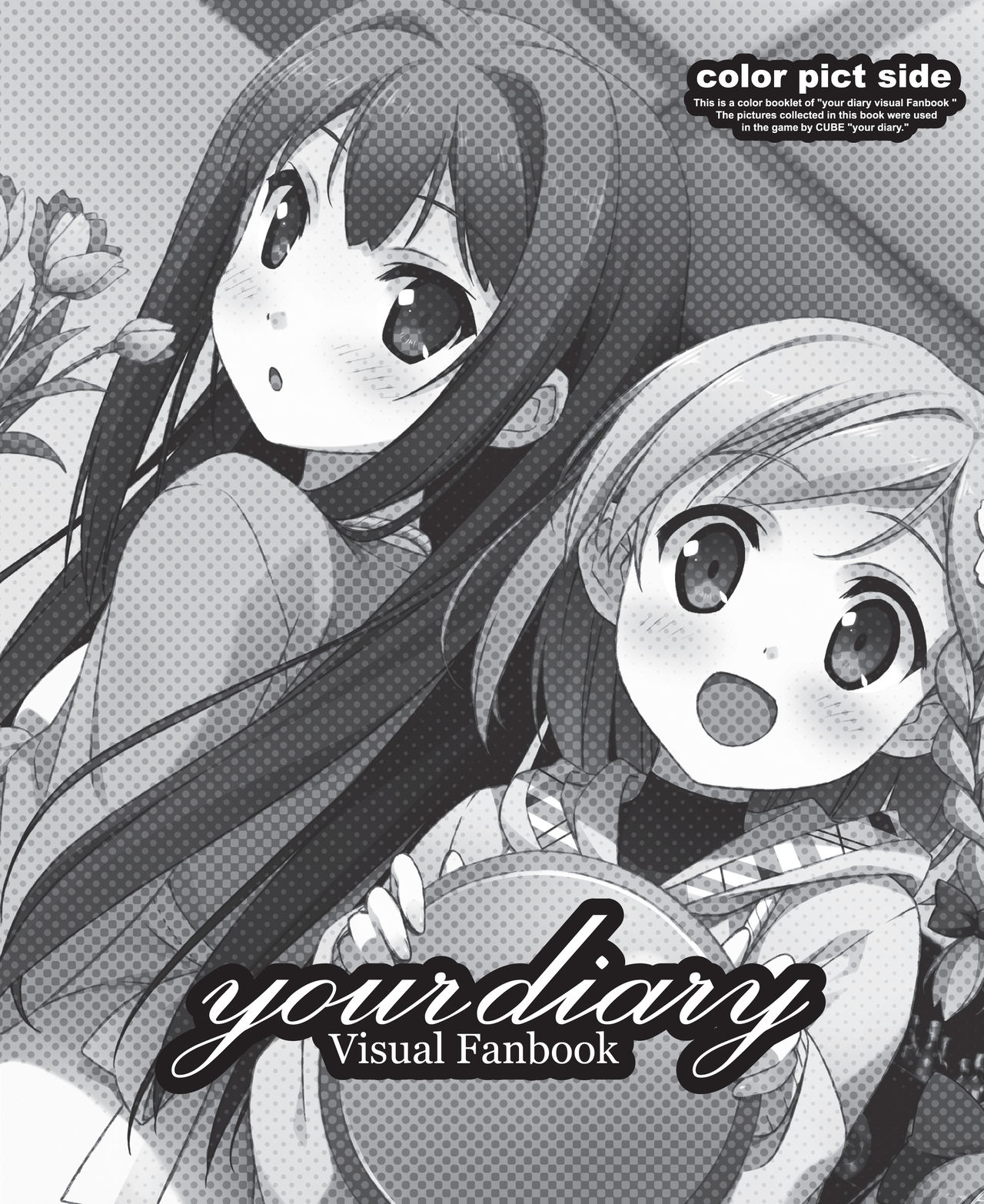 your diary Visual Fanbook page 2 full