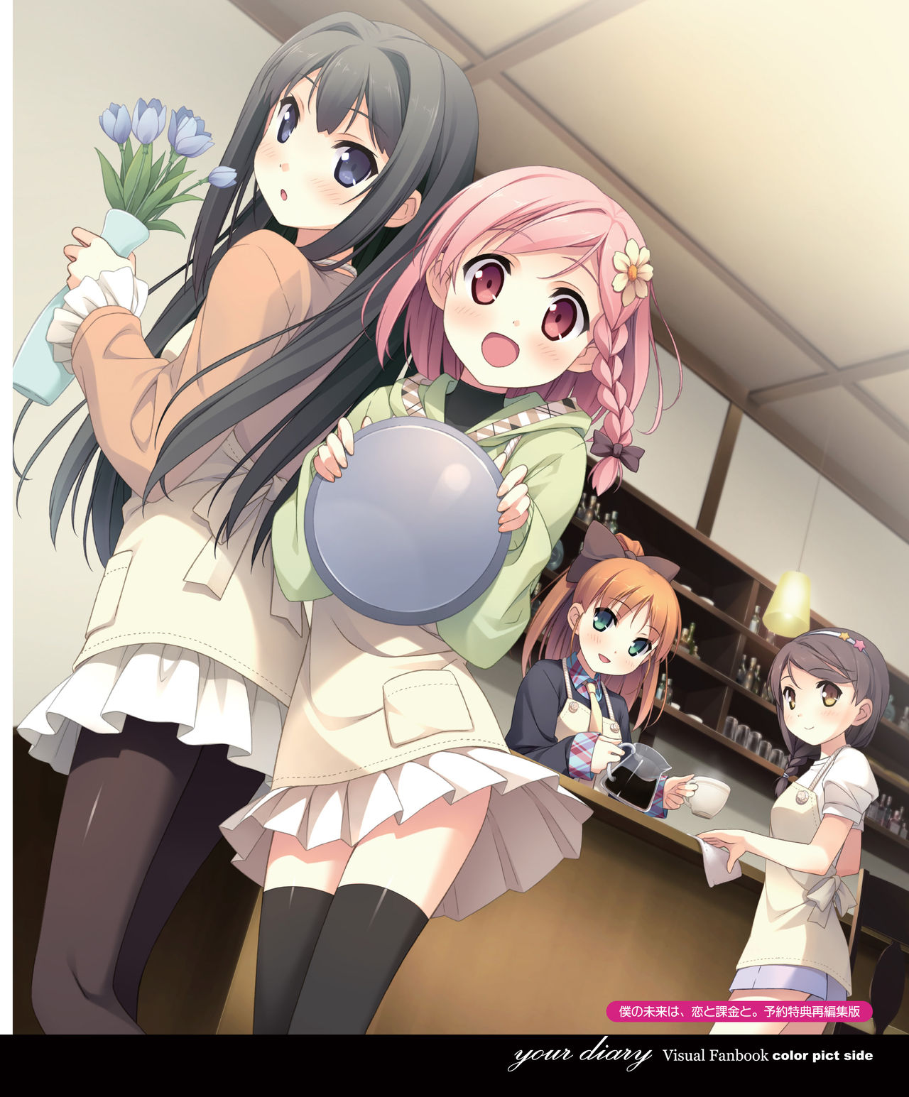 your diary Visual Fanbook page 3 full