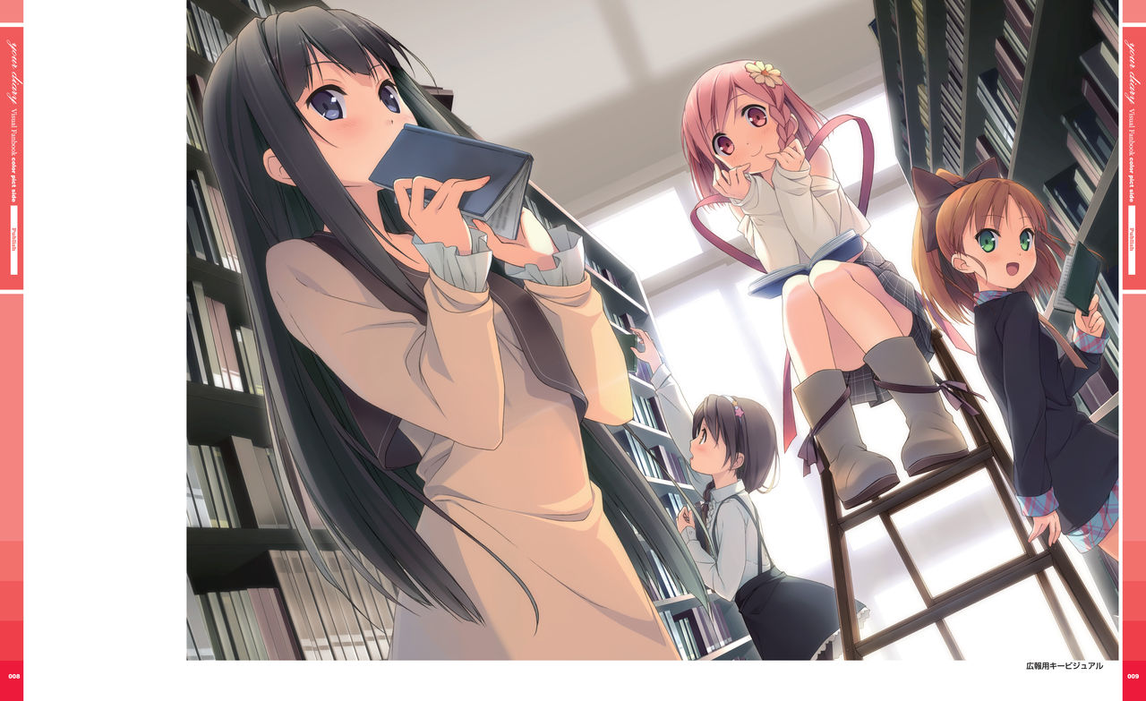 your diary Visual Fanbook page 9 full